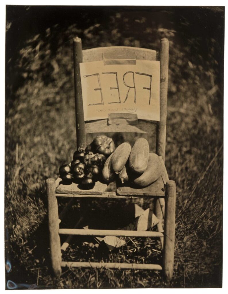 tintype photograph of chair with free veggies sign by John Coffer