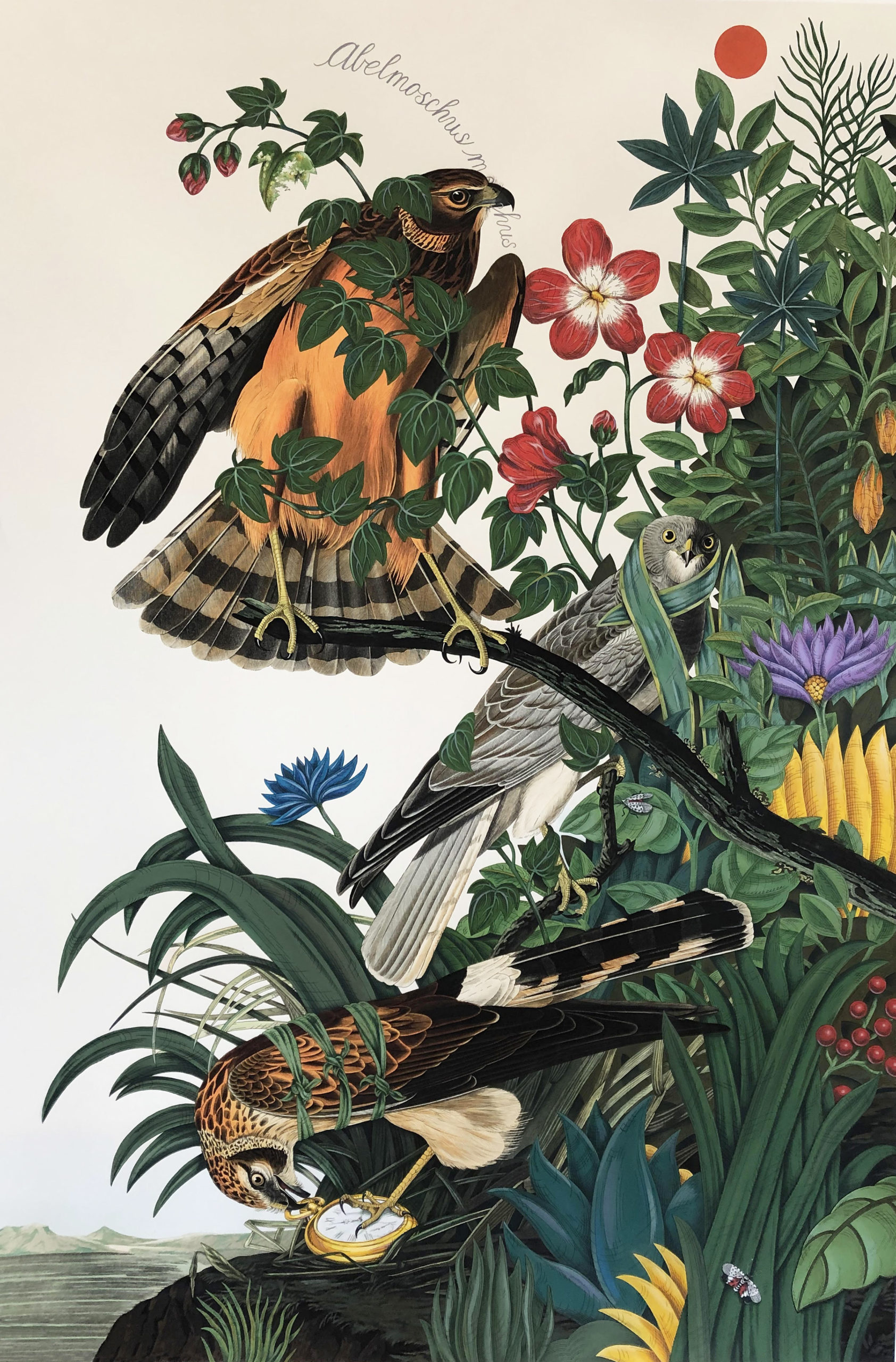 
		                					Penelope Gottlieb		                																	
																											<i>Abelmoschus moschtus,</i>  
																																								2022, 
																																								acrylic and ink over a digital reproduction of an Audubon print, 
																																								60 x 40 inches 
																								
		                				