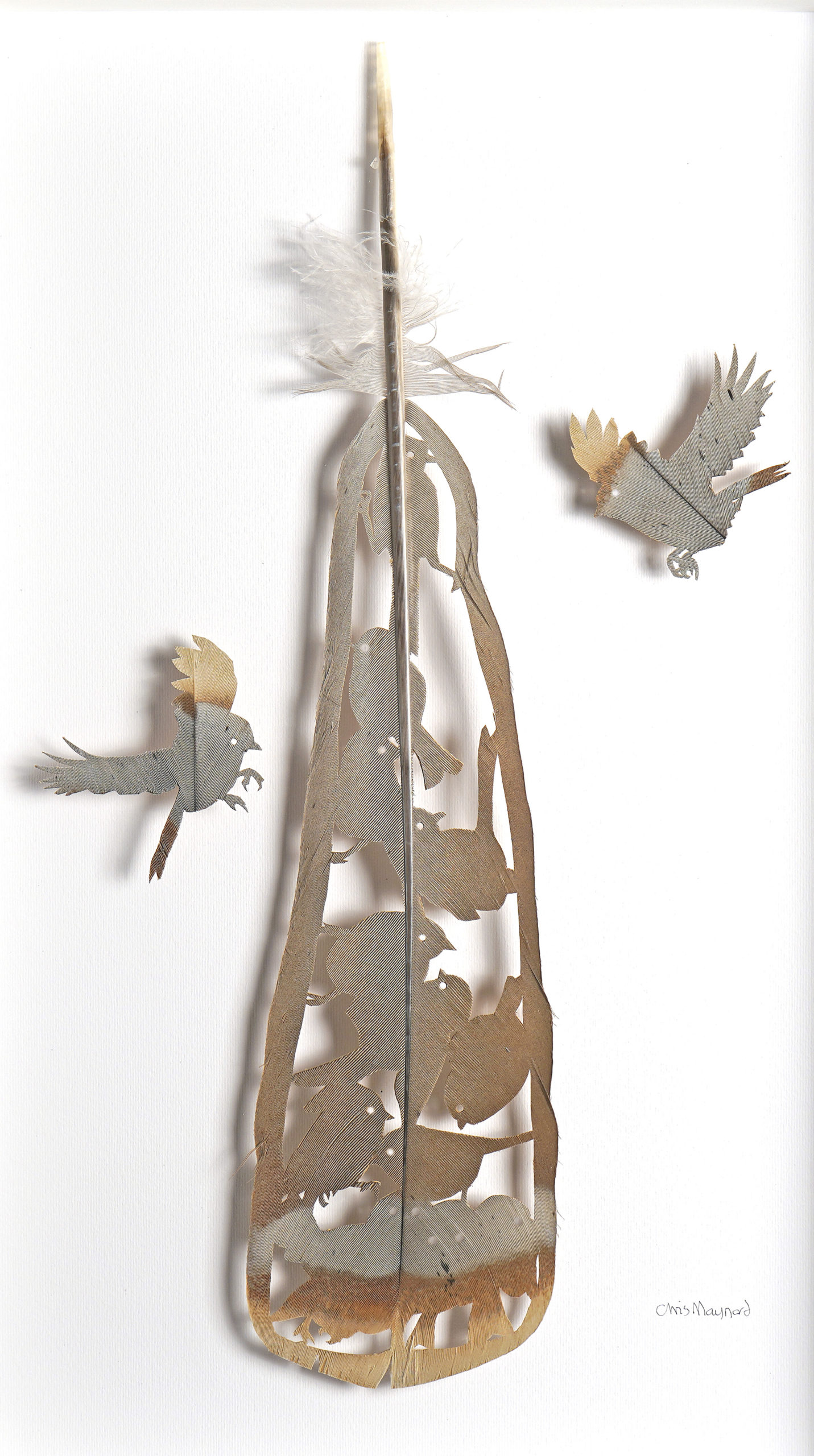 
		                					Chris Maynard		                																	
																											<i>Bushtit Nest,</i>  
																																																					turkey tail feathers, 
																																								15 1/4 x 9 inches 
																								
		                				
