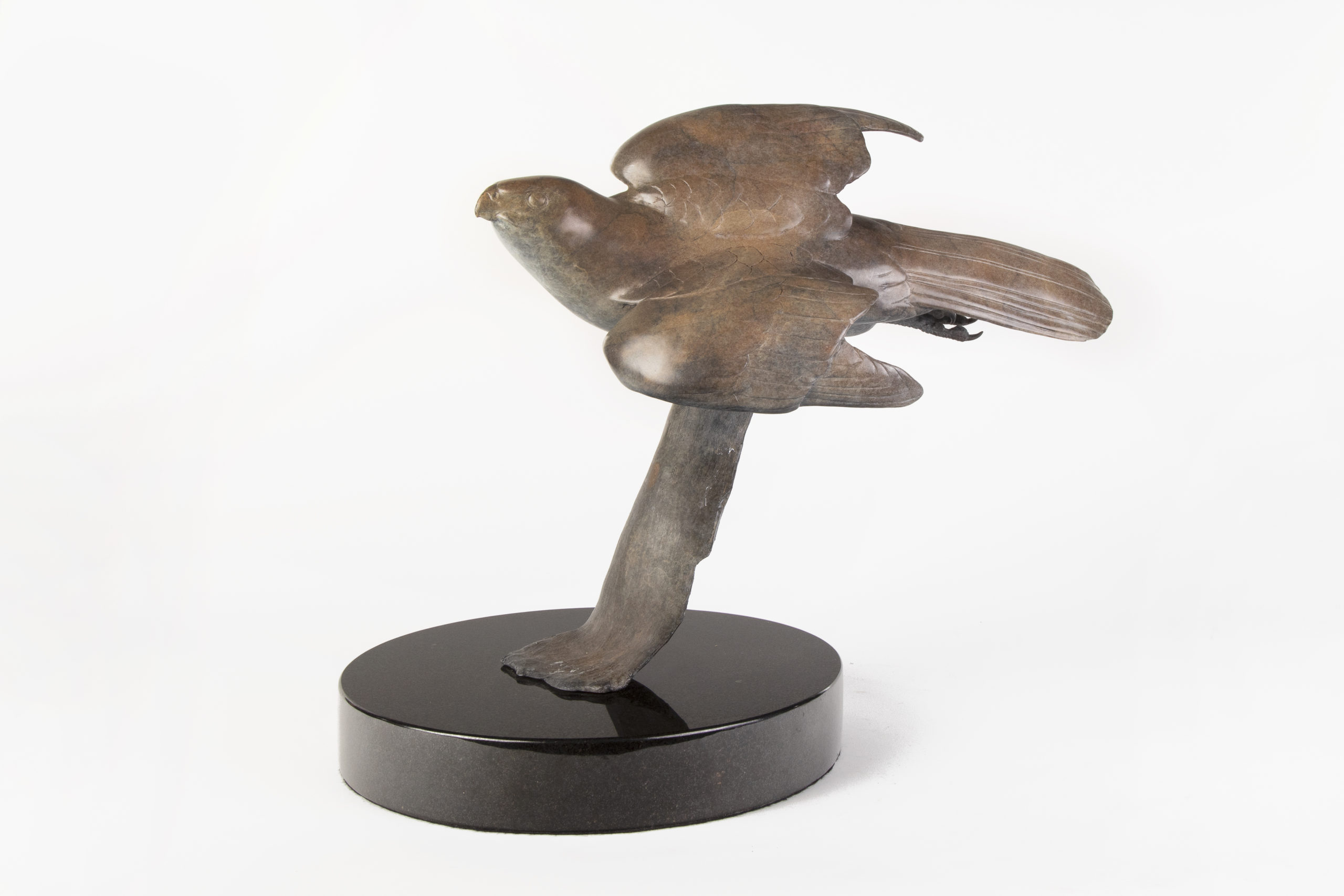 
		                					Tony Angell		                																	
																											<i>Fly By,</i>  
																																								2021, 
																																								bronze, AP 1/1, 
																																								13 x 16 1/2 inches 
																								
		                				