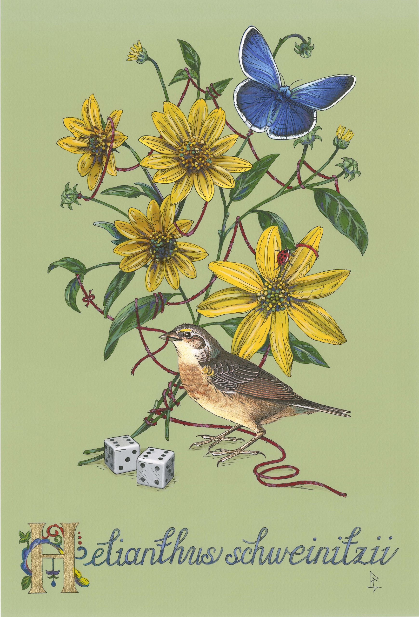 
		                					Penelope Gottlieb		                																	
																											<i>Brighamia insignis,</i>  
																																								2021, 
																																								acrylic and ink over a digital reproduction of an Audubon print, 
																																								18 x 12 inches 
																								
		                				