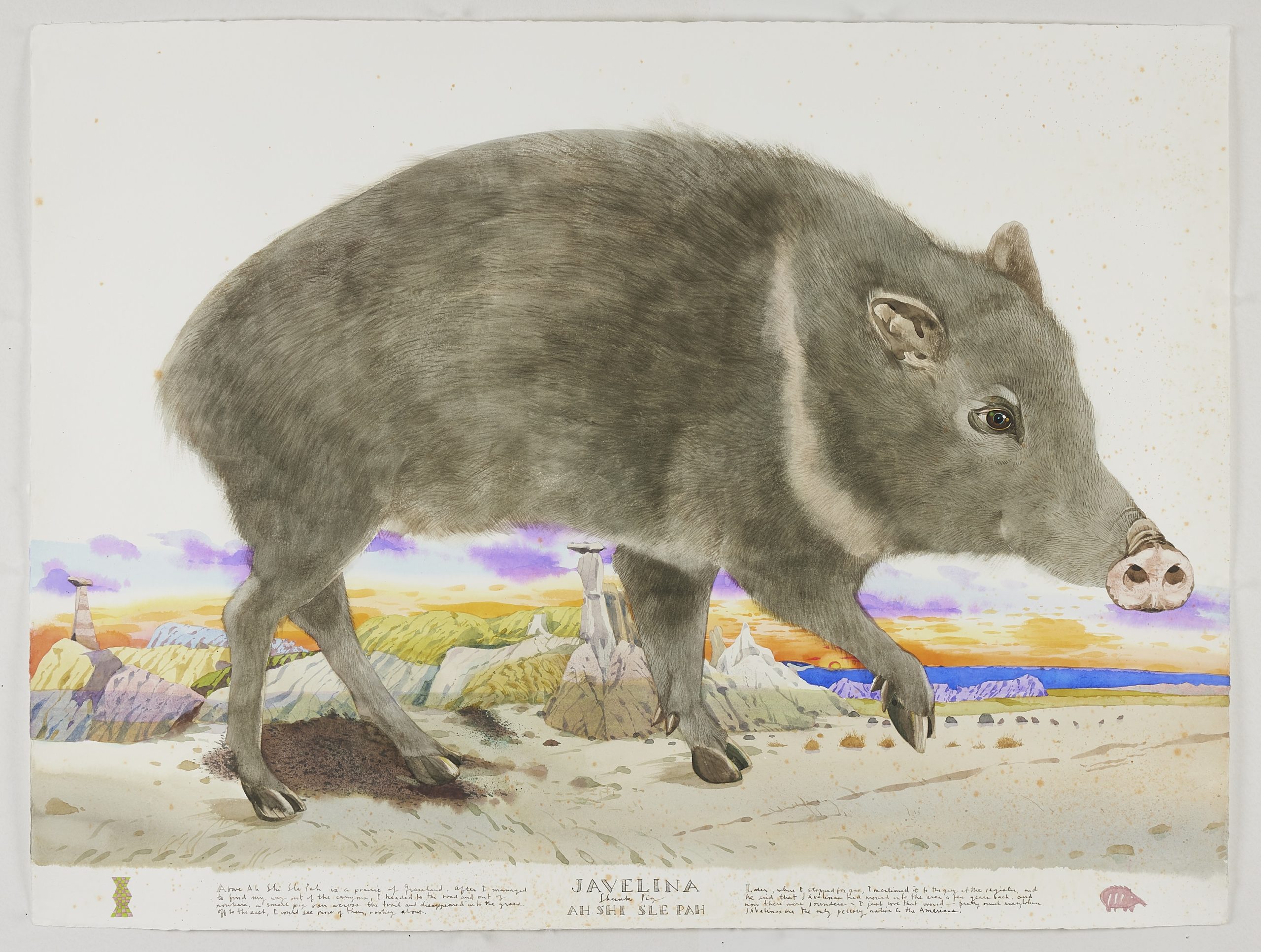 
		                					Scott Kelley		                																	
																											<i>Javelina - The Skunk Pig,</i>  
																																								2019 – 20, 
																																								watercolor, ink, gouache and graphite on paper, 
																																								30 x 40 inches 
																								
		                				