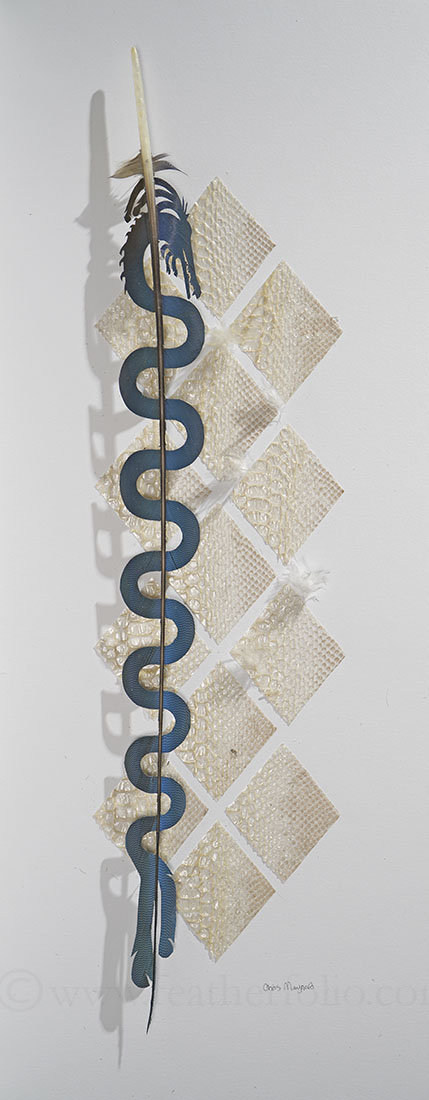 
		                					Chris Maynard		                																	
																											<i>Plumed Serpent,</i>  
																																								2021, 
																																								rattlesnake skin and blue and gold macaw tail feathers, 
																																								23 x 9 inches 
																								
		                				