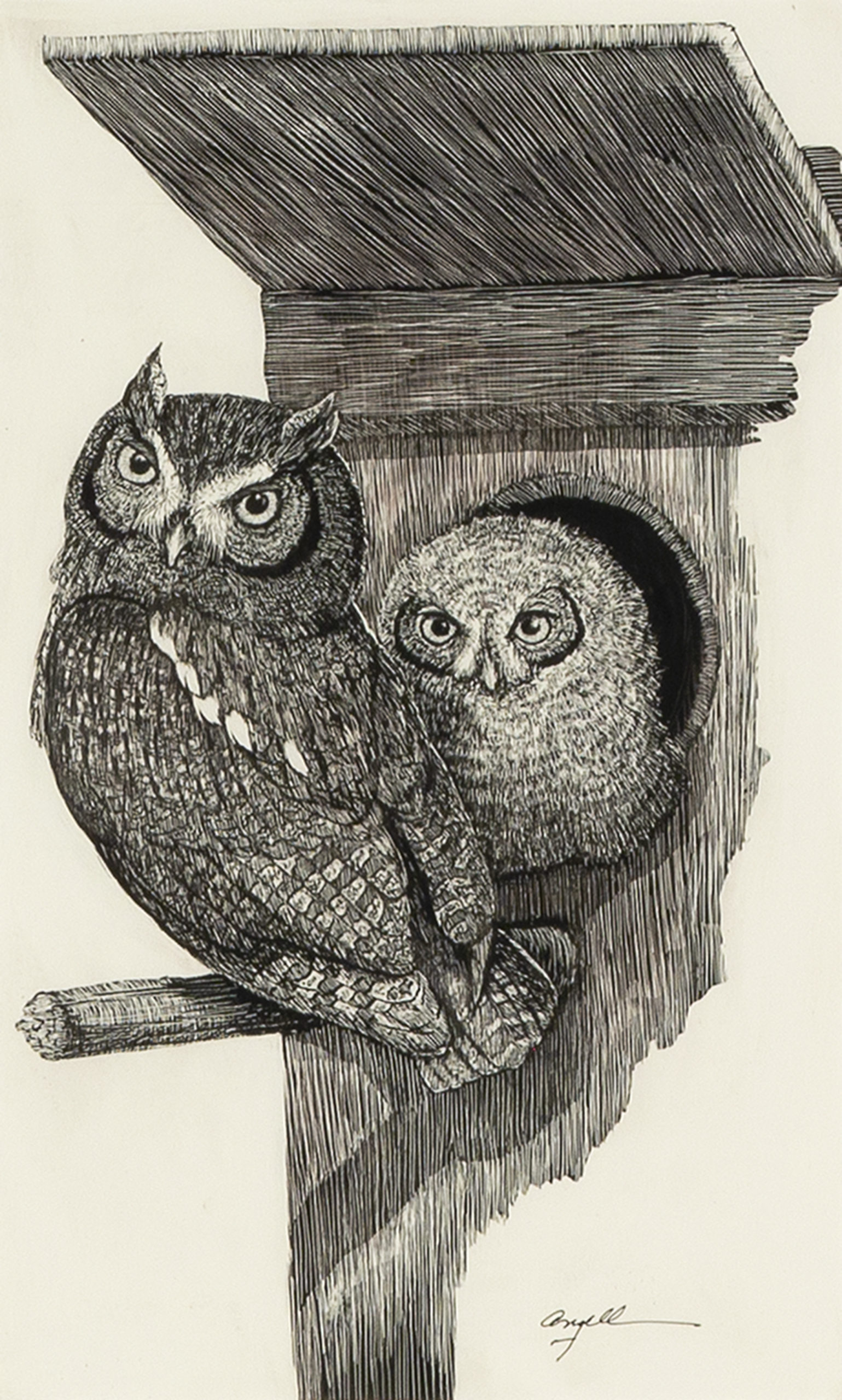 
		                					Tony Angell		                																	
																											<i>Protective Parent,</i>  
																																								2020, 
																																								ink on clayboard, 
																																								12 x 7 inches 
																								
		                				