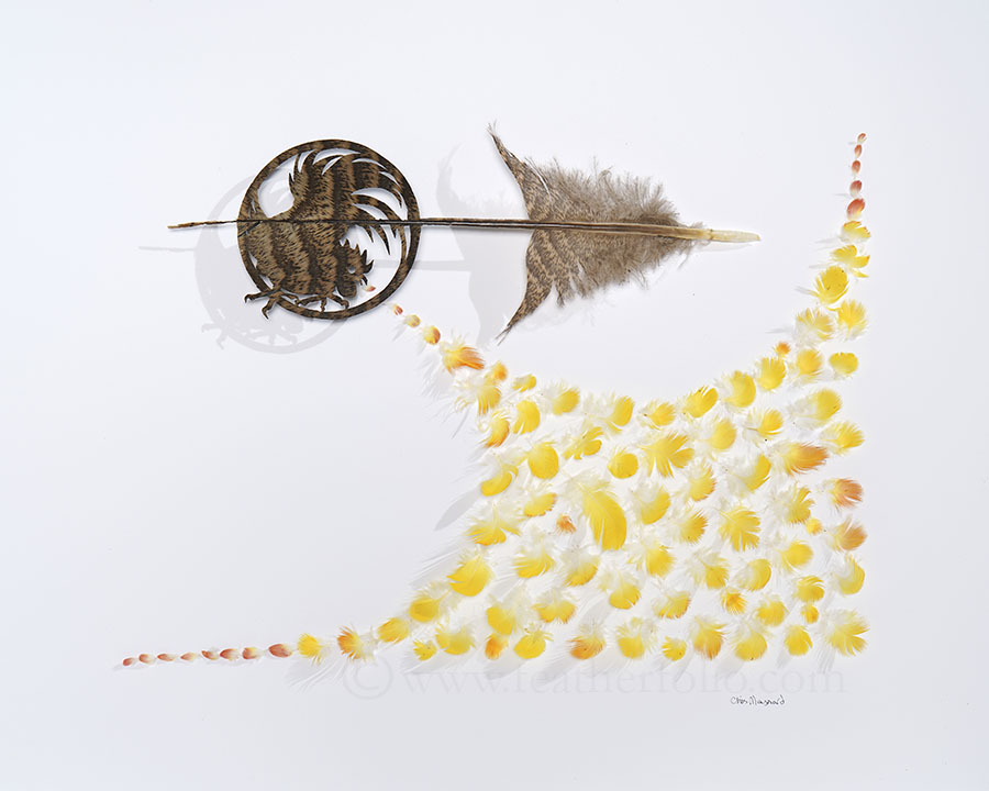 
		                					Chris Maynard		                																	
																											<i>Rooster Tunes,</i>  
																																								2021, 
																																								turkey feathers and golden pheasant and lady amherst feathers, 
																																								12 x 12 inches 
																								
		                				