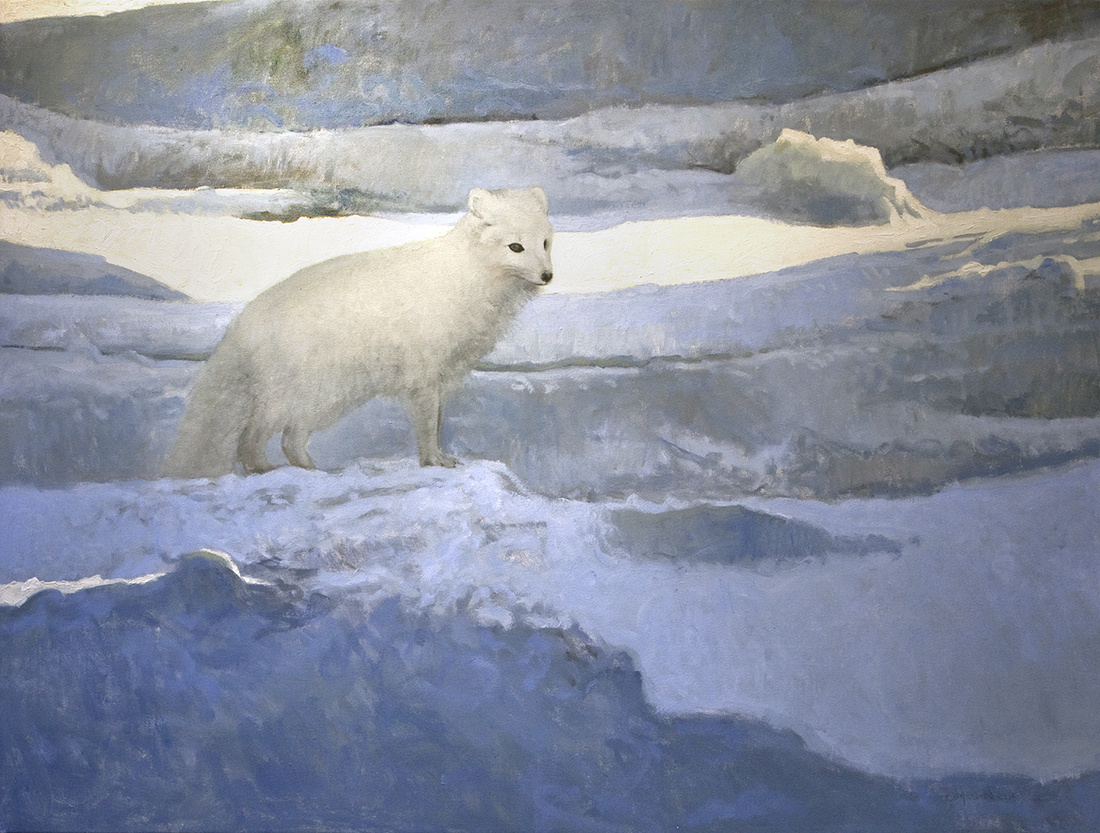 
		                					Ron Kingswood		                																	
																											<i>Arctic Fox,</i>  
																																								2014, 
																																								oil on canvas, 
																																								45 ¼ x 60 inches 
																								
		                				