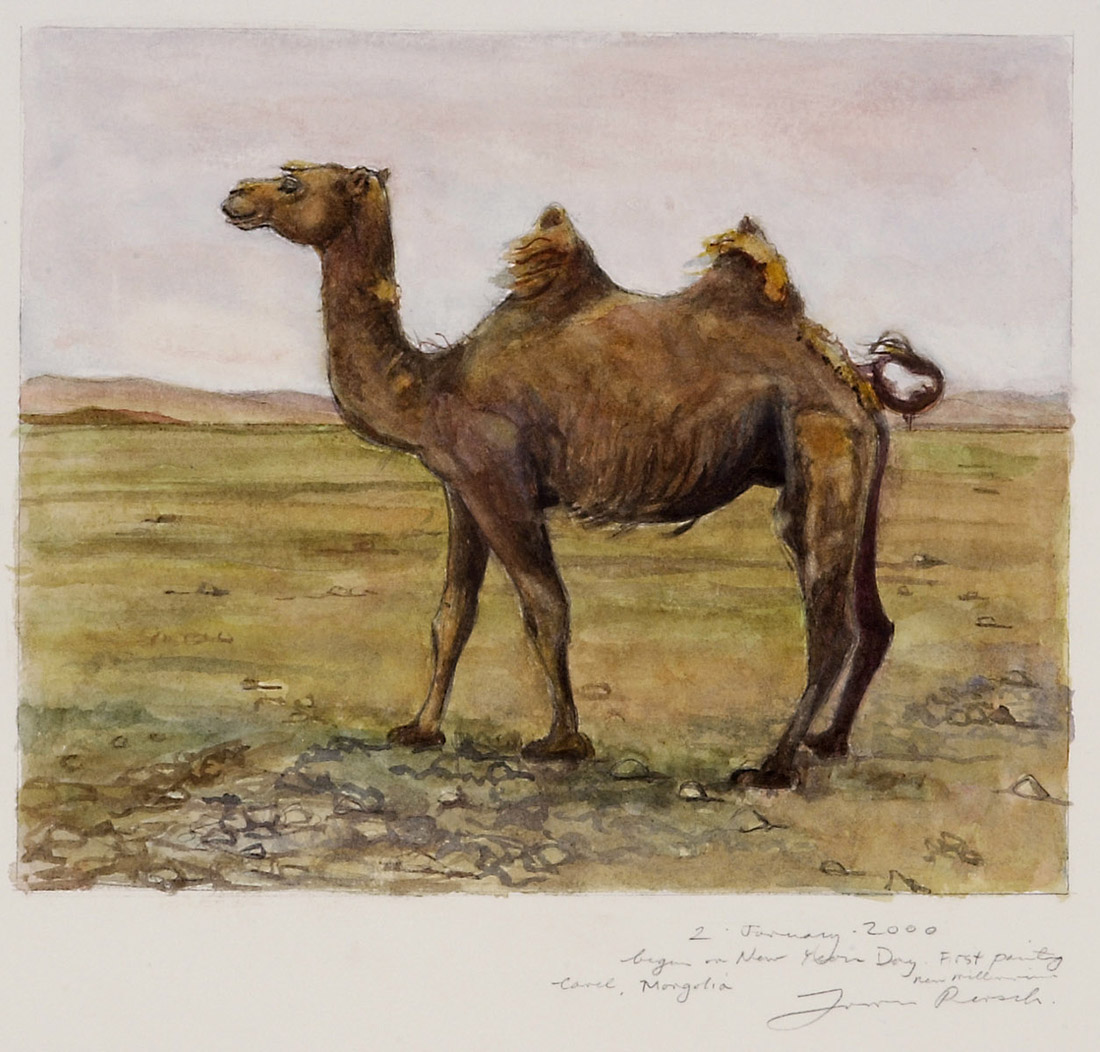 
		                					James Prosek		                																	
																											<i>Bactrian Camel – Gobi Desert, Mongolia,</i>  
																																								2000, 
																																								watercolor, 
																																								9 x 11 inches 
																								
		                				