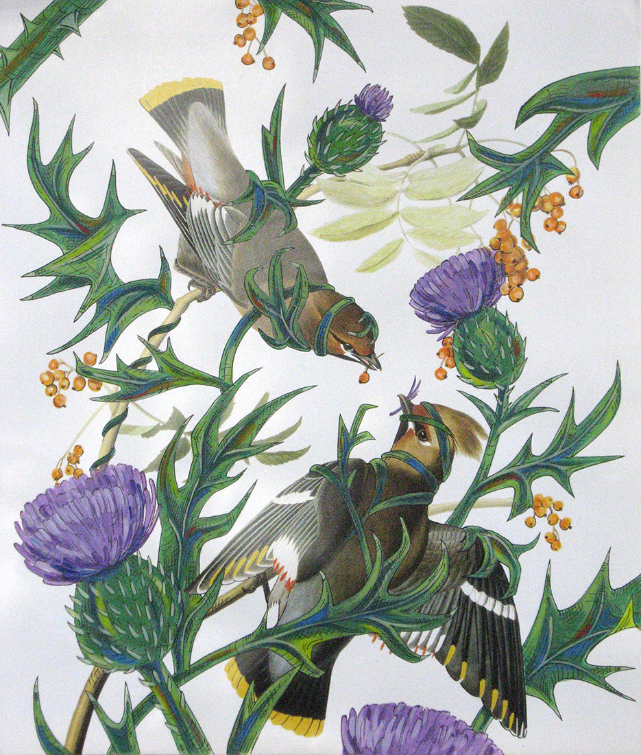 

											Penelope Gottlieb, Scott Kelley, Steve Kestrel, and Peregrine O’Gormley</b>

											<em>
												Contemporary Naturalism</em> 

											<h4>
												June 5 – August 28, 2020											</h4>

		                																																													<i>Cirsium vulgare,</i>  
																																								2012, 
																																								acrylic and ink over a digital reproduction of an Audubon print, 
																																								13 ⅜ x 11 ⅜ inches, (sold) 
																								
		                				