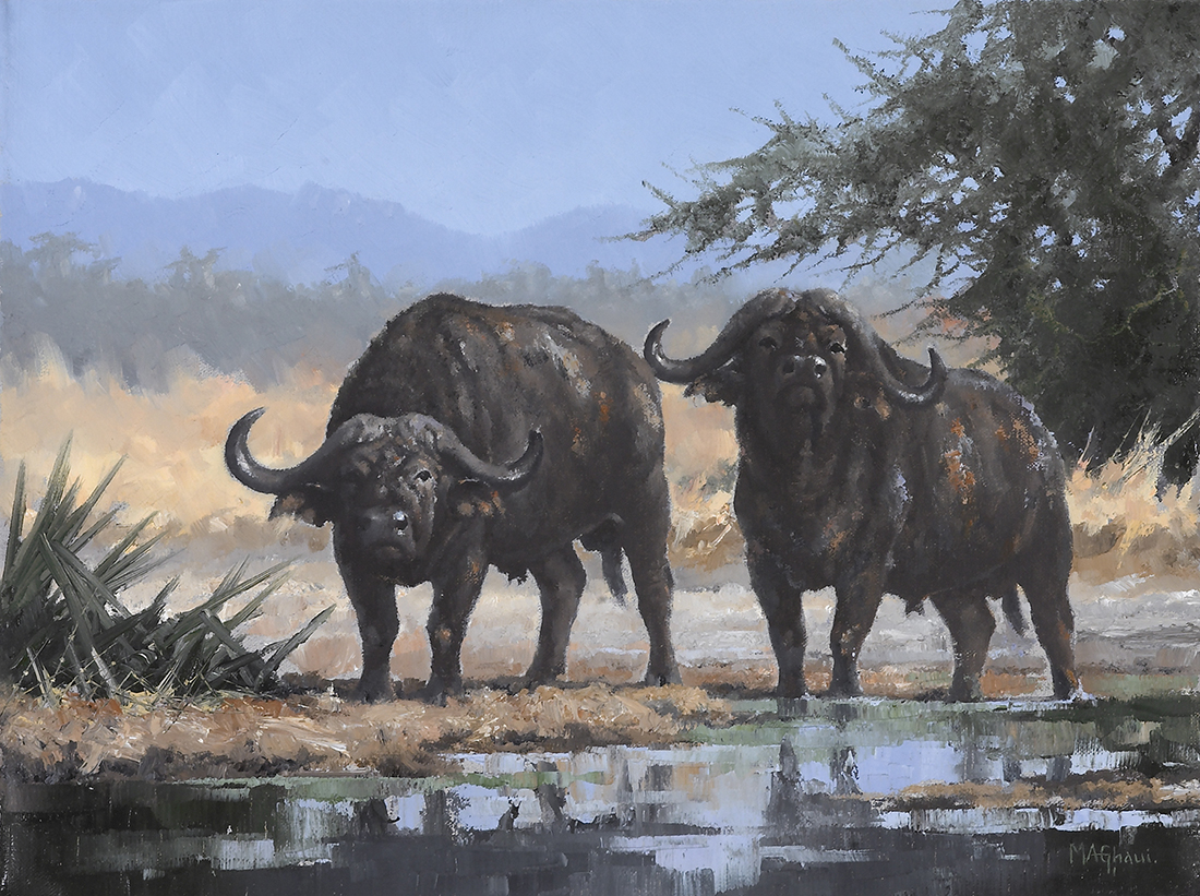
		                					Michael Ghaui		                																	
																											<i>Mud Wallow – Cape Buffalo,</i>  
																																																					oil on canvas, 
																																								12 x 16 inches 
																								
		                				