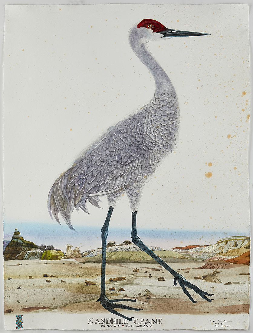 
							

									Scott Kelley									Sandhill Crane, De-Na-Zin, Bisti Badlands, NM 2019 – 2020									watercolor, ink, gouache and graphite on paper, 40 x 30 inches									


							