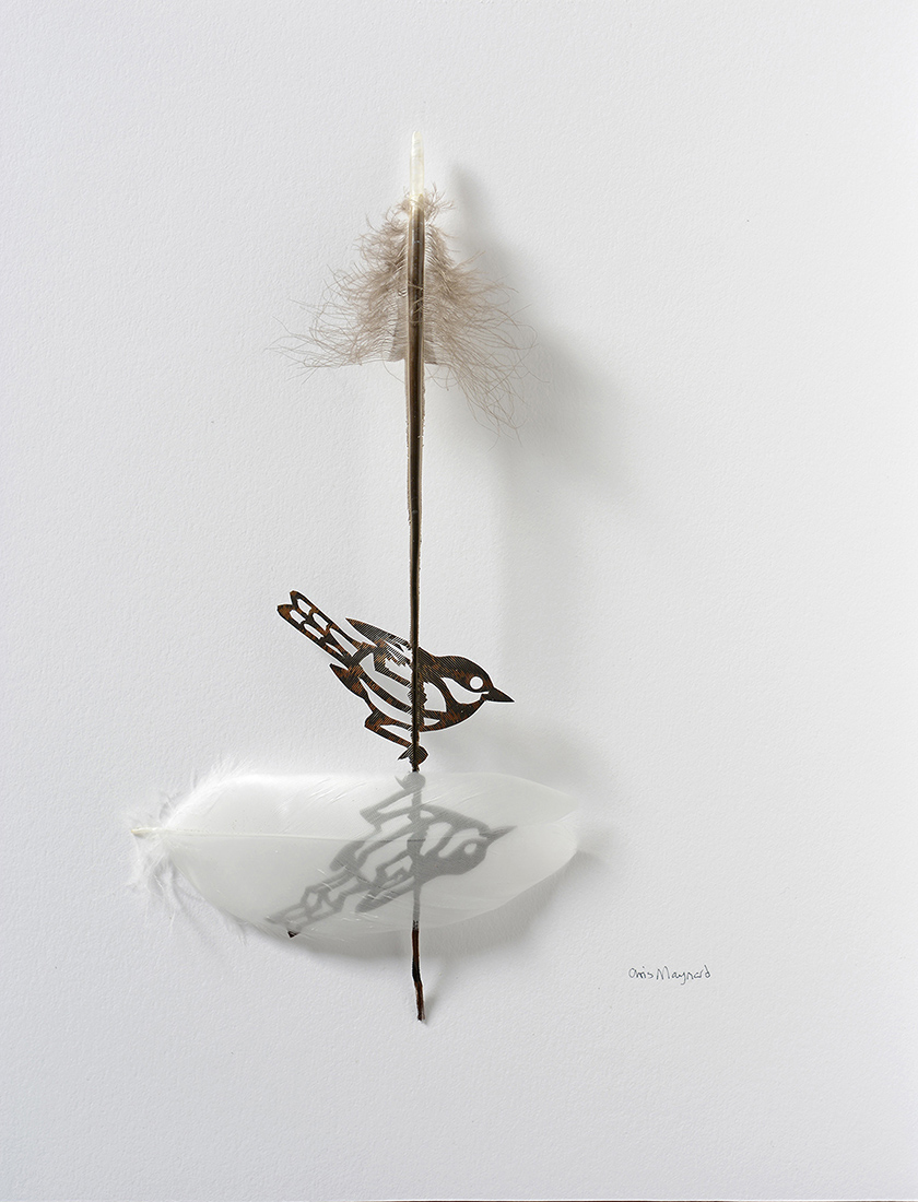 
		                					Chris Maynard		                																	
																											<i>Self Knowledge,</i>  
																																								2017, 
																																								turkey feather and whole mute swan feather, 
																																								11 ⅝ x 9 ⅝ inches 
																								
		                				