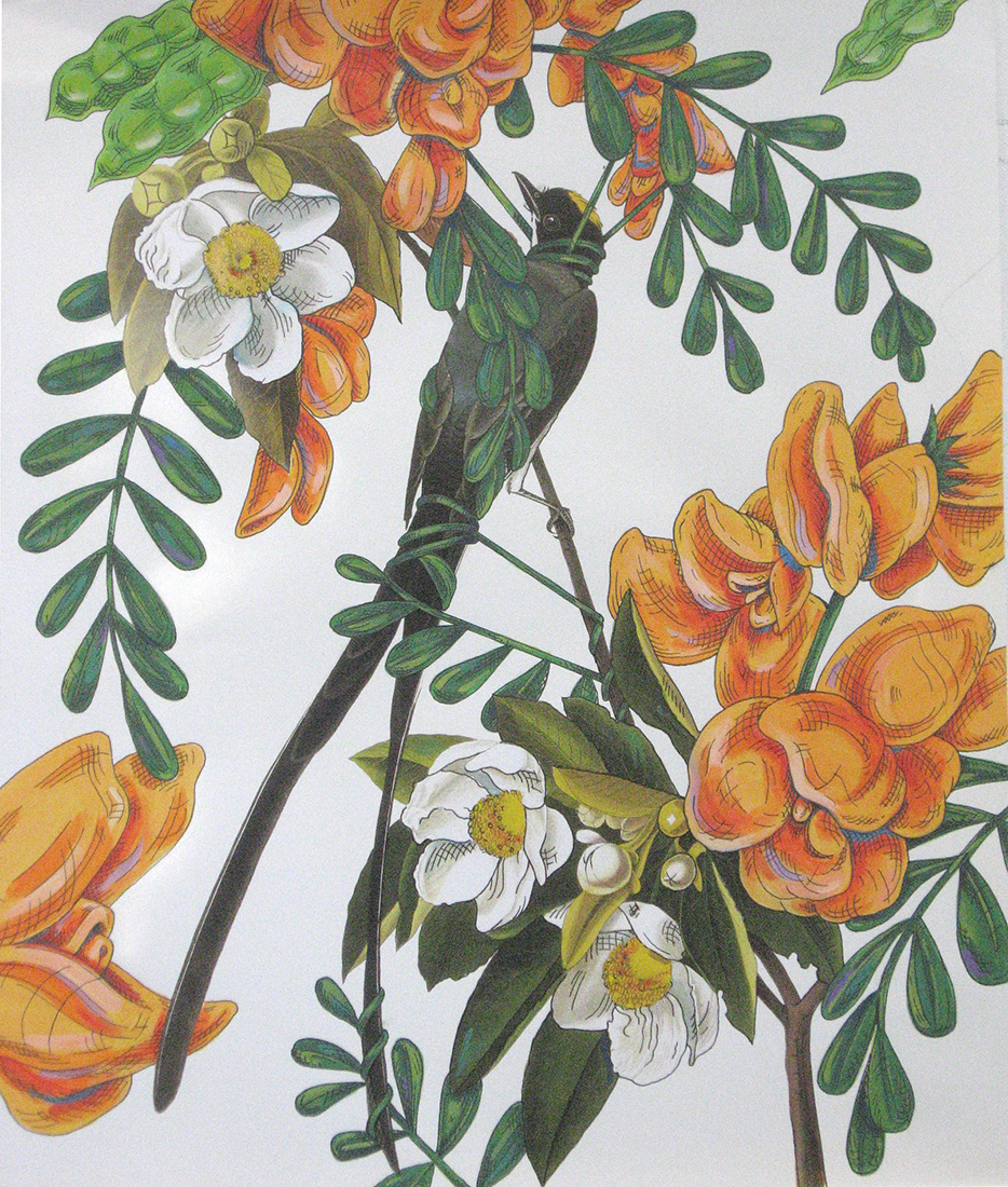 
		                					Penelope Gottlieb		                																	
																											<i>Sesbania punice,</i>  
																																								2012, 
																																								acrylic and ink over a digital reproduction of an Audubon print, 
																																								13 ⅜ x 11 ⅜ inches 
																								
		                				