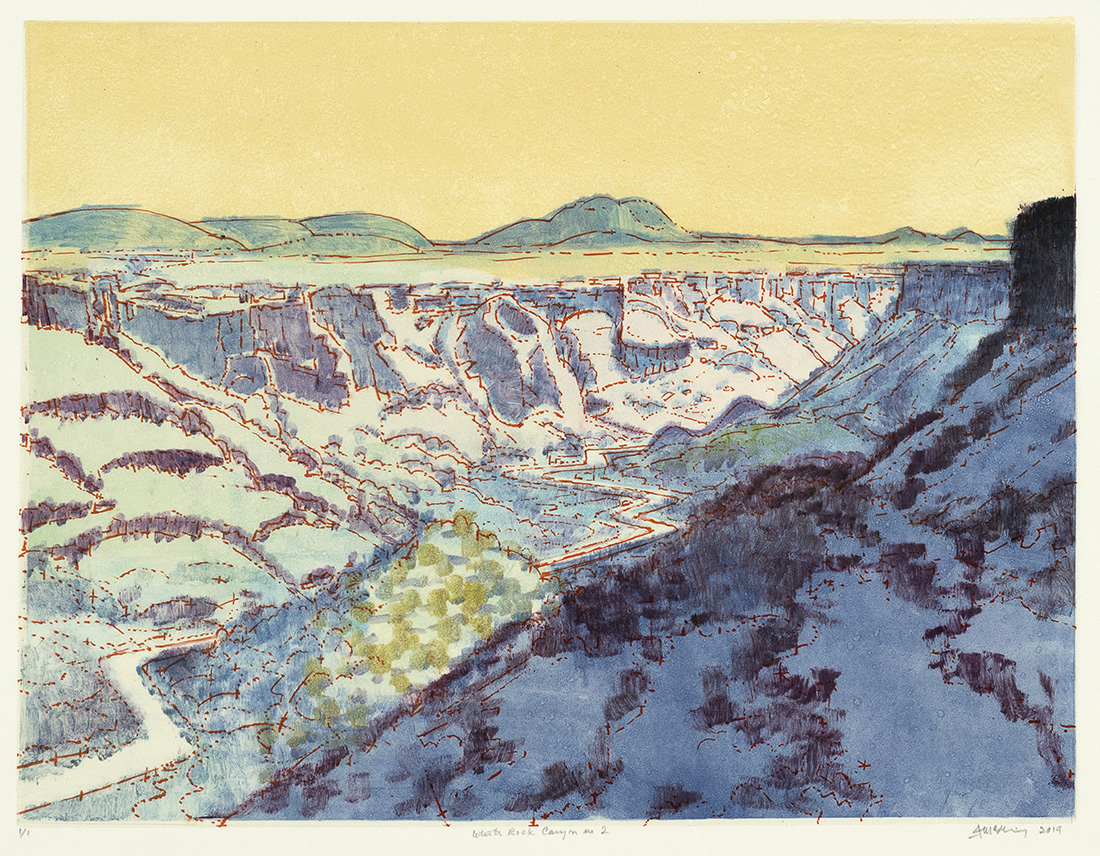 
		                					James McElhinney		                																	
																											<i>White Rock Canyon, No. 2, 1/1,</i>  
																																								2019, 
																																								monoprint with chine colle and mixed media, 
																																								14 1/8 x 18 1/2 inches 
																								
		                				