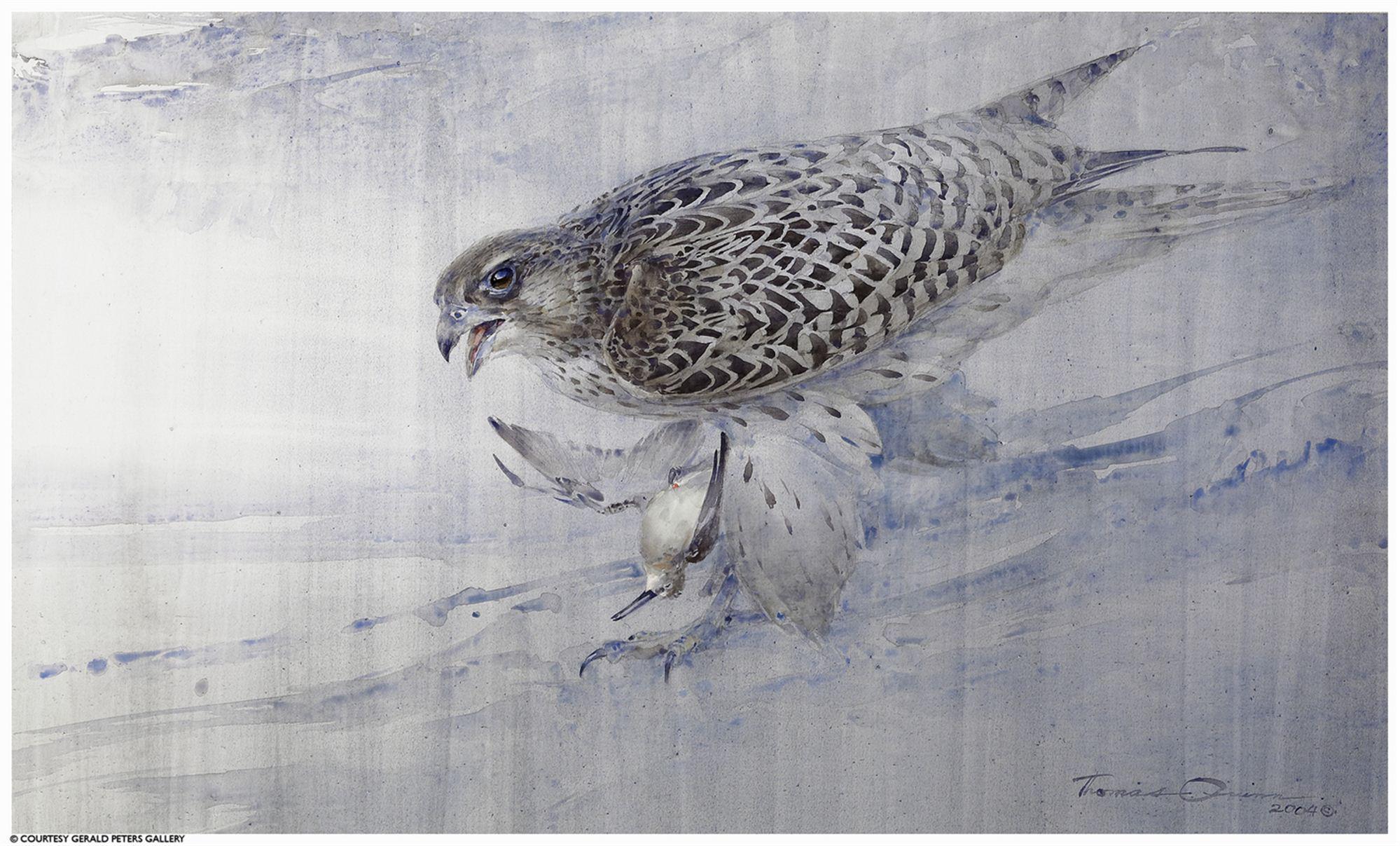 
		                					Thomas Quinn		                																	
																											<i>Blue Note (Gyrfalcon and Western Sand Piper,</i>  
																																																					watercolor on paper, 
																																								16 3/4 x 28 1/4 inches 
																								
		                				