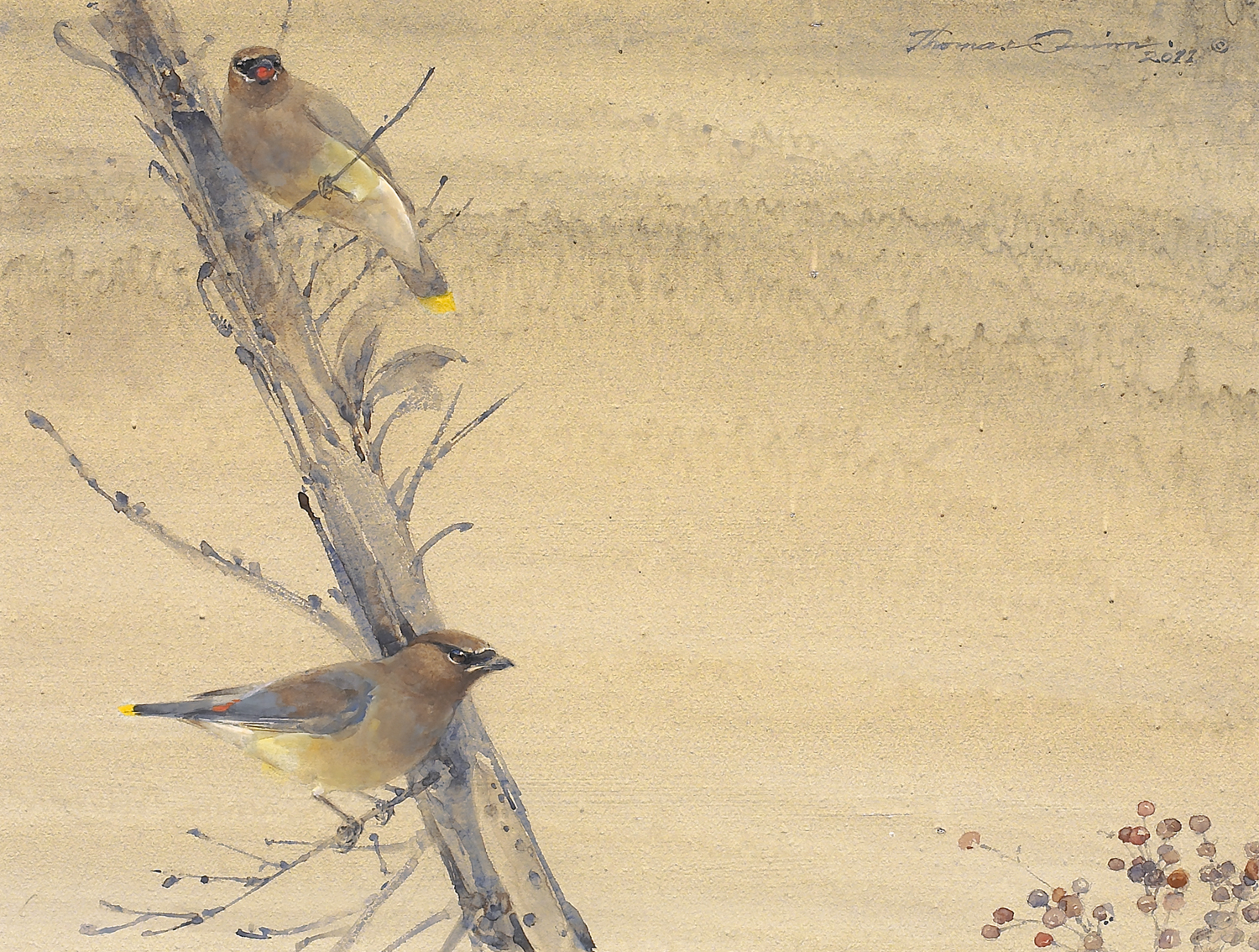 
		                					Thomas Quinn		                																	
																											<i>Cedar Waxwings and Madrone Berries,</i>  
																																																					gouache on paper, 
																																								14 5/8 x 18 7/8 inches 
																								
		                				
