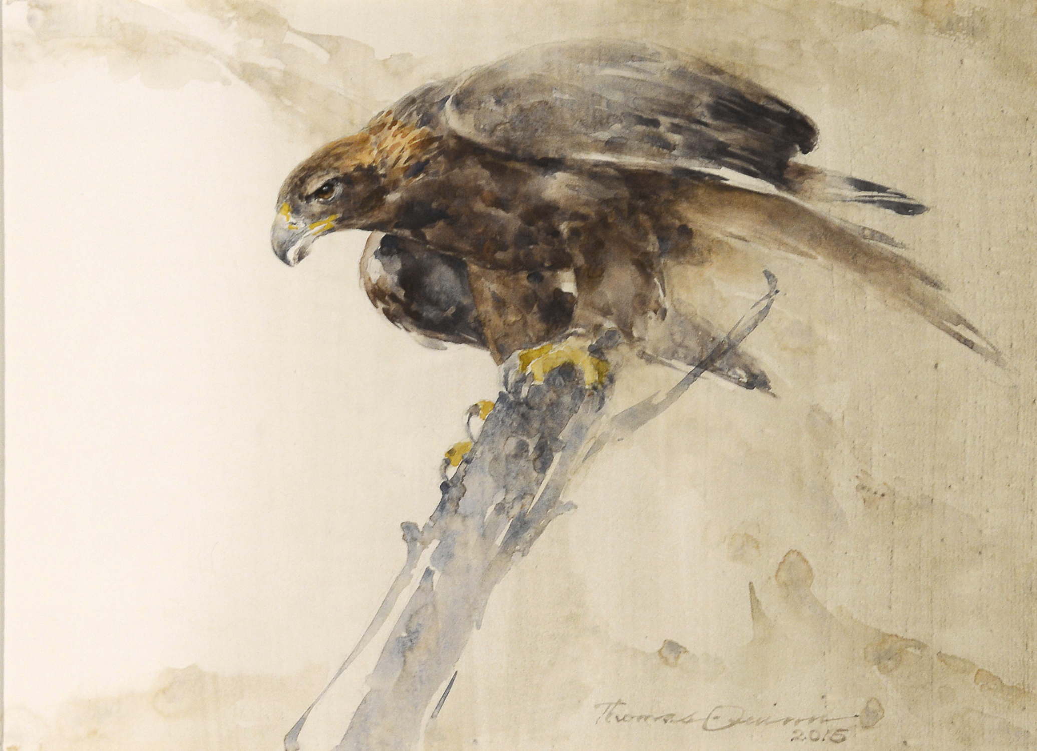 

											Tony Angell, Thomas Quinn</b>

											<em>
												Tony Angell and Thomas Quinn:  A Conversation with Nature</em> 

											<h4>
												September 25 - November 28, 2020											</h4>

		                																																<i>Rogue River Queen,</i>  
																																																					watercolor on paper, 
																																								 11 3/4 x 16 3/8 inches 
																								
		                				