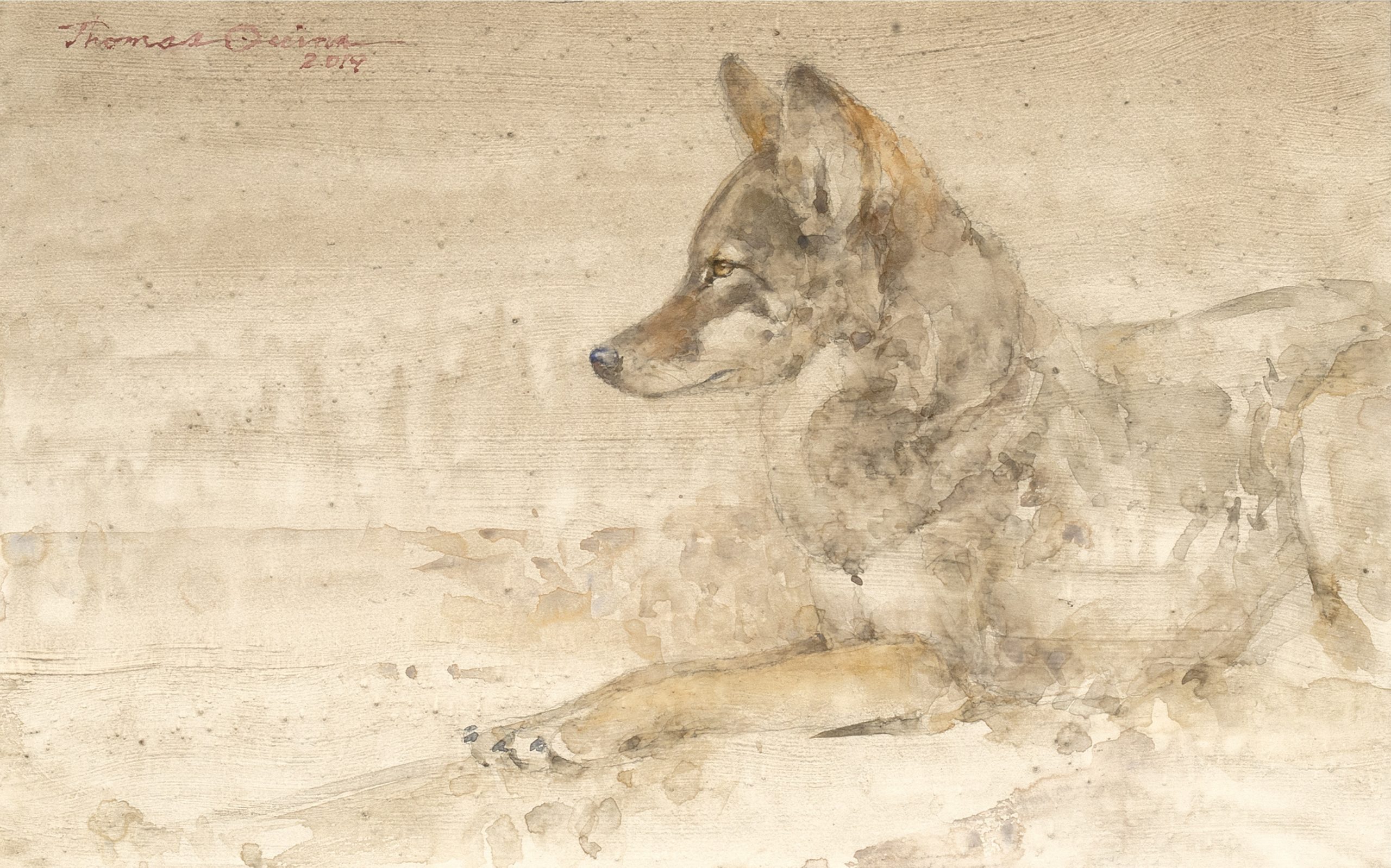 
							

									Thomas Quinn									Sepia Afternoon 									watercolor on paper, 11 1/4 x 18 1/4 inches									


							