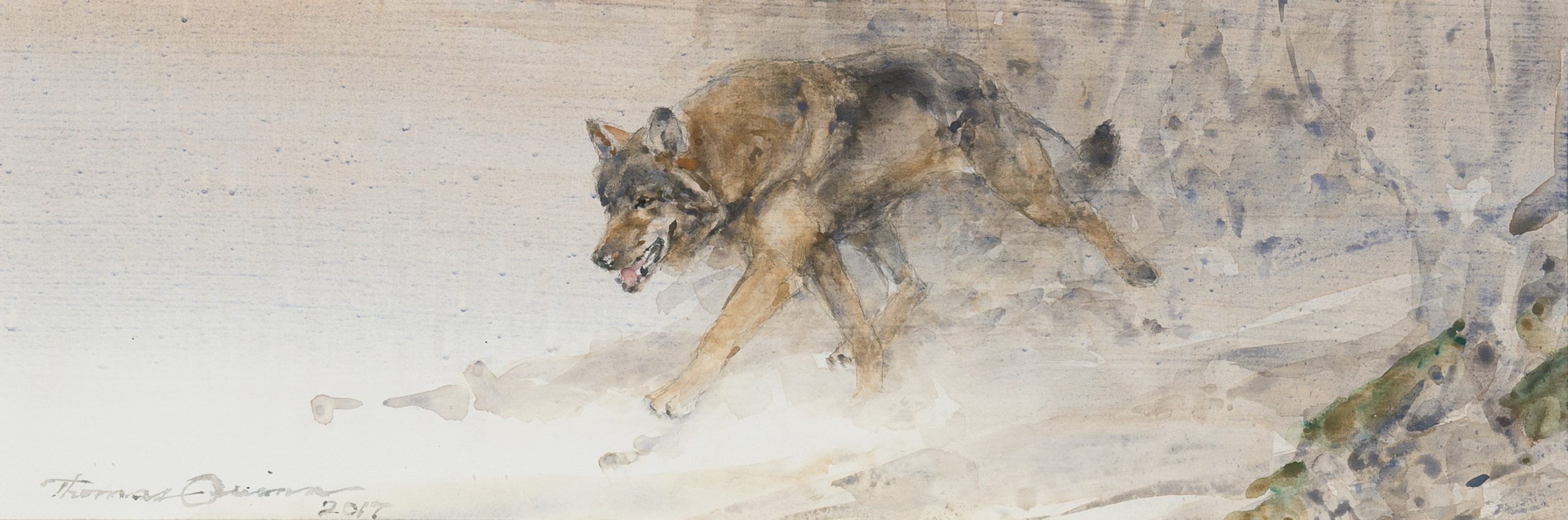 
		                					Thomas Quinn		                																	
																											<i>Wolf Trot,</i>  
																																																					watercolor on paper, 
																																								 5 7/8 x 17 3/4 inches 
																								
		                				