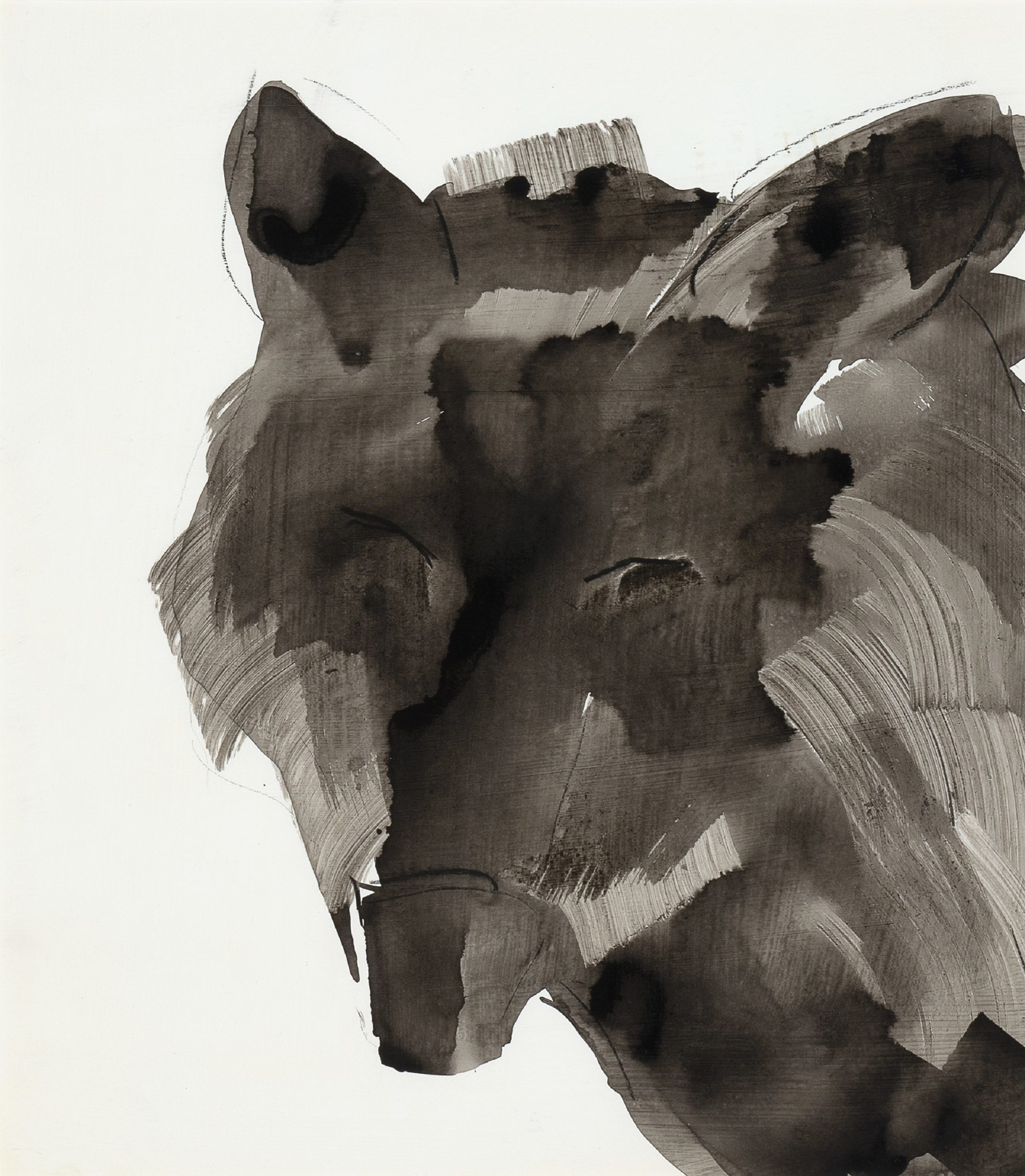 
		                					Susan Brearey		                																	
																											<i>Wolf Head Enter Right,</i>  
																																																					oil and graphite on paper, 
																																								 15 1/2 x 13 1/2 inches 
																								
		                				