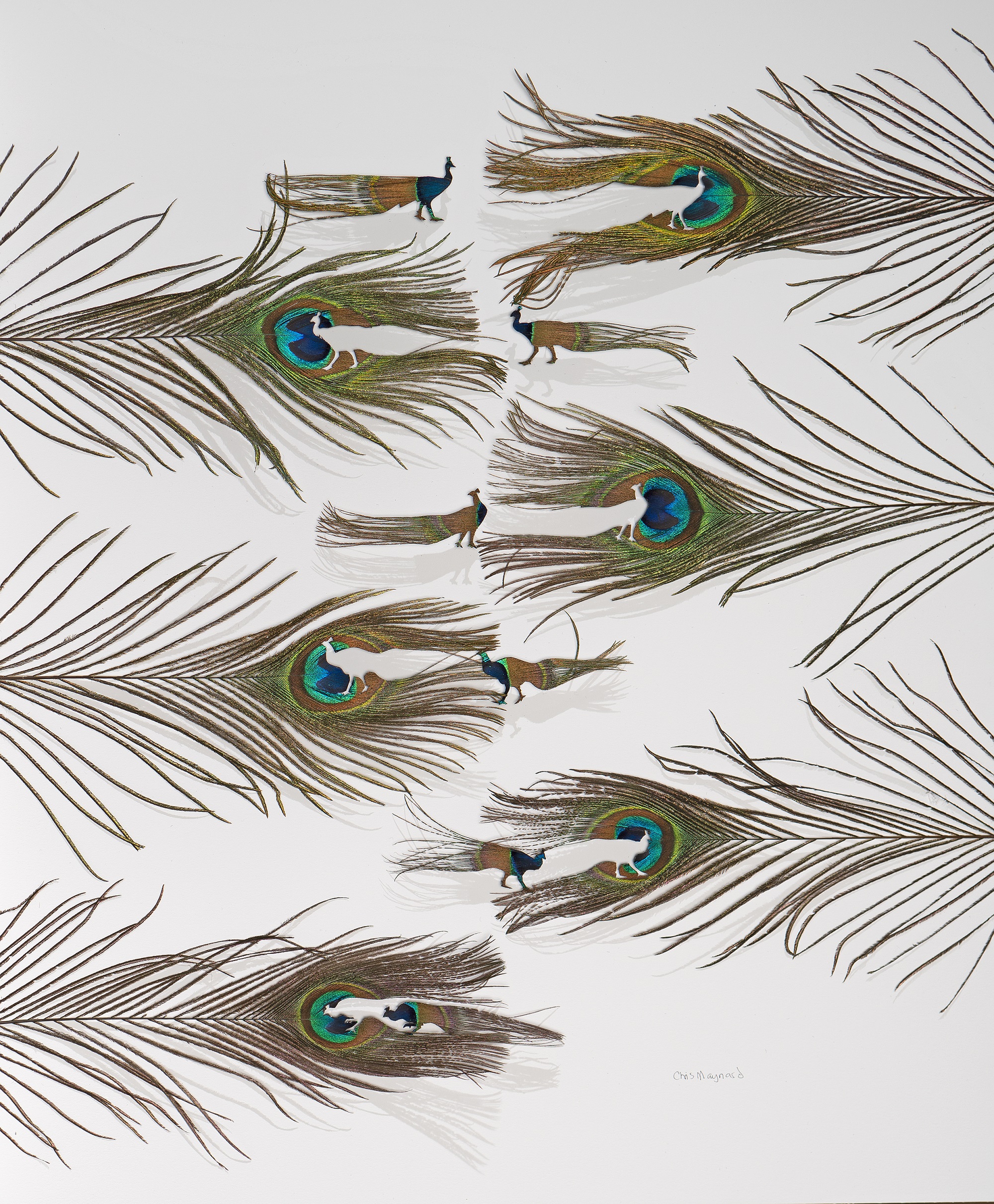 

											Chris Maynard</b>

											<em>
												Chris Maynard: New Works</em> 

											<h4>
												Currently on view through April 1, 2022											</h4>

		                																																<i>En Trance,</i>  
																																								2021, 
																																								peacock feathers, 
																																								22 x 18 inches 
																								
		                				