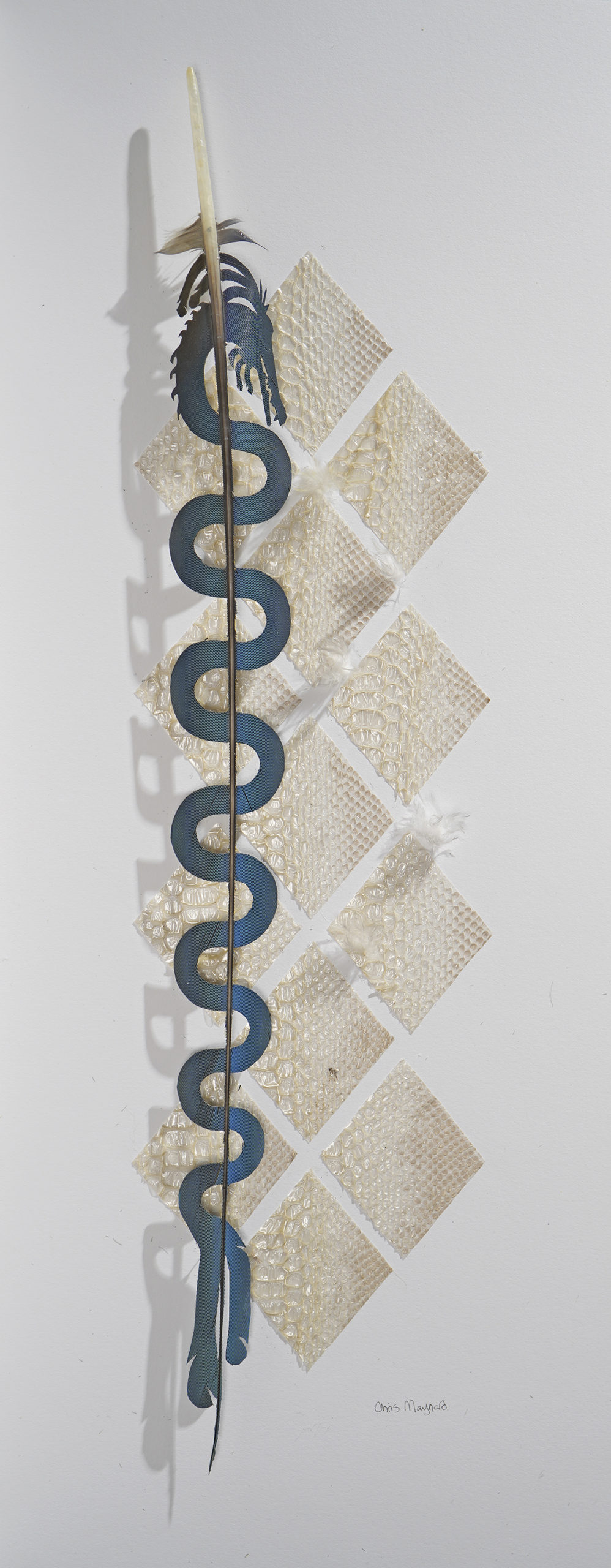 

											Chris Maynard</b>

											<em>
												Chris Maynard: New Works</em> 

											<h4>
												Currently on view through April 1, 2022											</h4>

		                																																<i>Plumed Serpent,</i>  
																																								2021, 
																																								rattlesnake skin and blue and gold macaw tail feathers, 
																																								23 x 9 inches 
																								
		                				