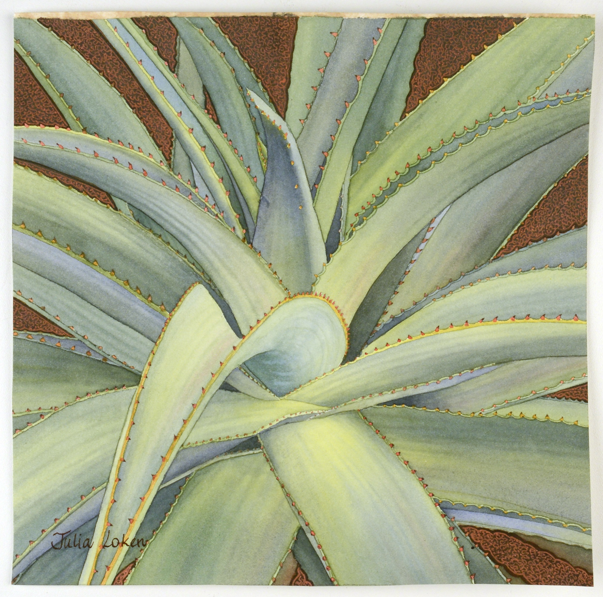 
		                					Julia Loken		                																	
																											<i>Agave II,</i>  
																																																					watercolor on paper, 
																																								8 3/4 x 8 3/4 inches 
																								
		                				