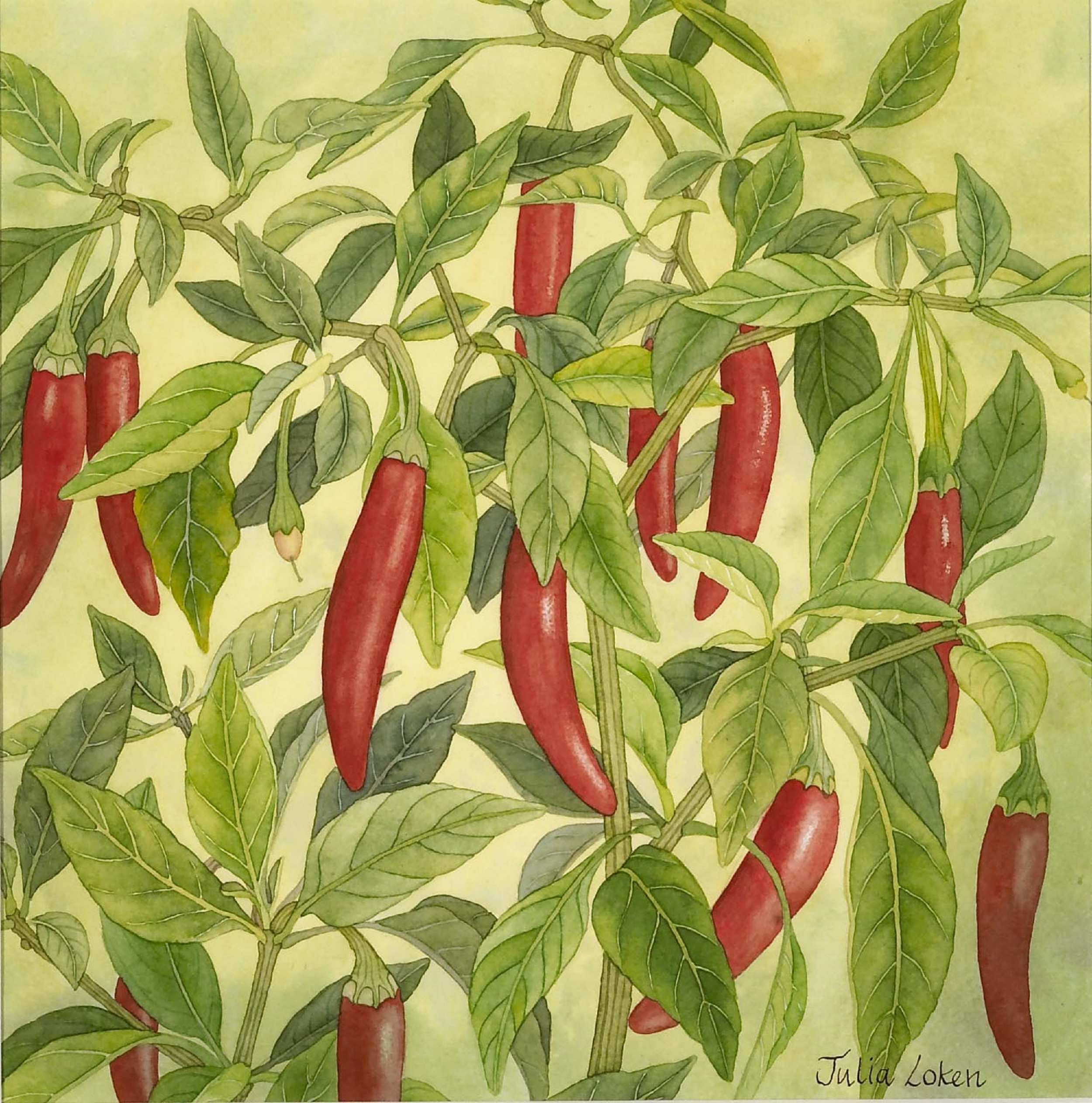 
		                					Julia Loken		                																	
																											<i>Hot Stuff,</i>  
																																																					watercolor on paper, 
																																								10 1/2 x 10 5/8 inches 
																								
		                				