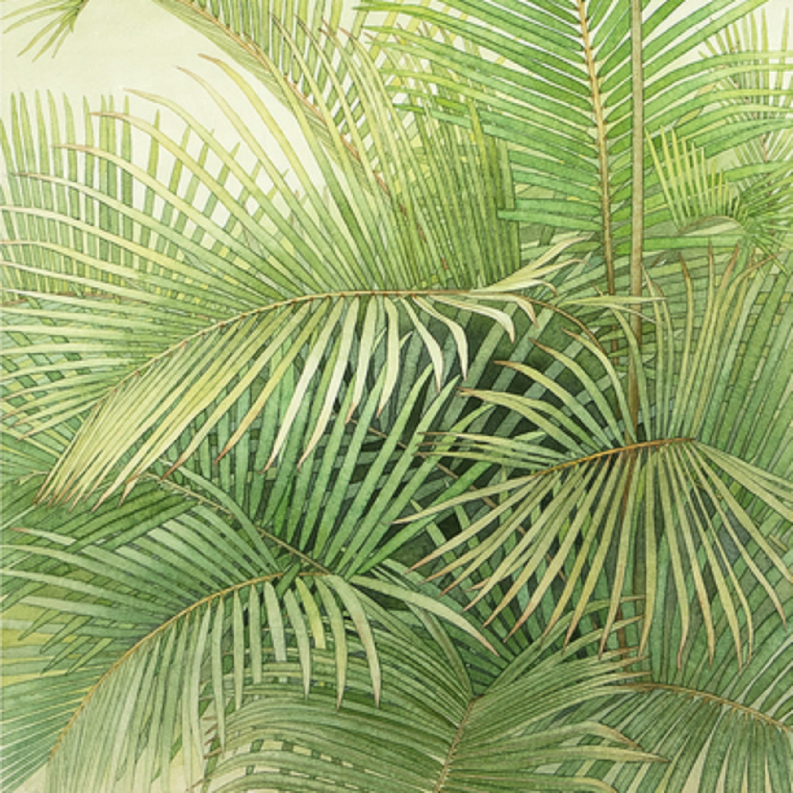 
		                					Julia Loken		                																	
																											<i>Kentia Palm,</i>  
																																								2021, 
																																								watercolor on paper, 
																																								18 x 14 1/4 inches 
																								
		                				