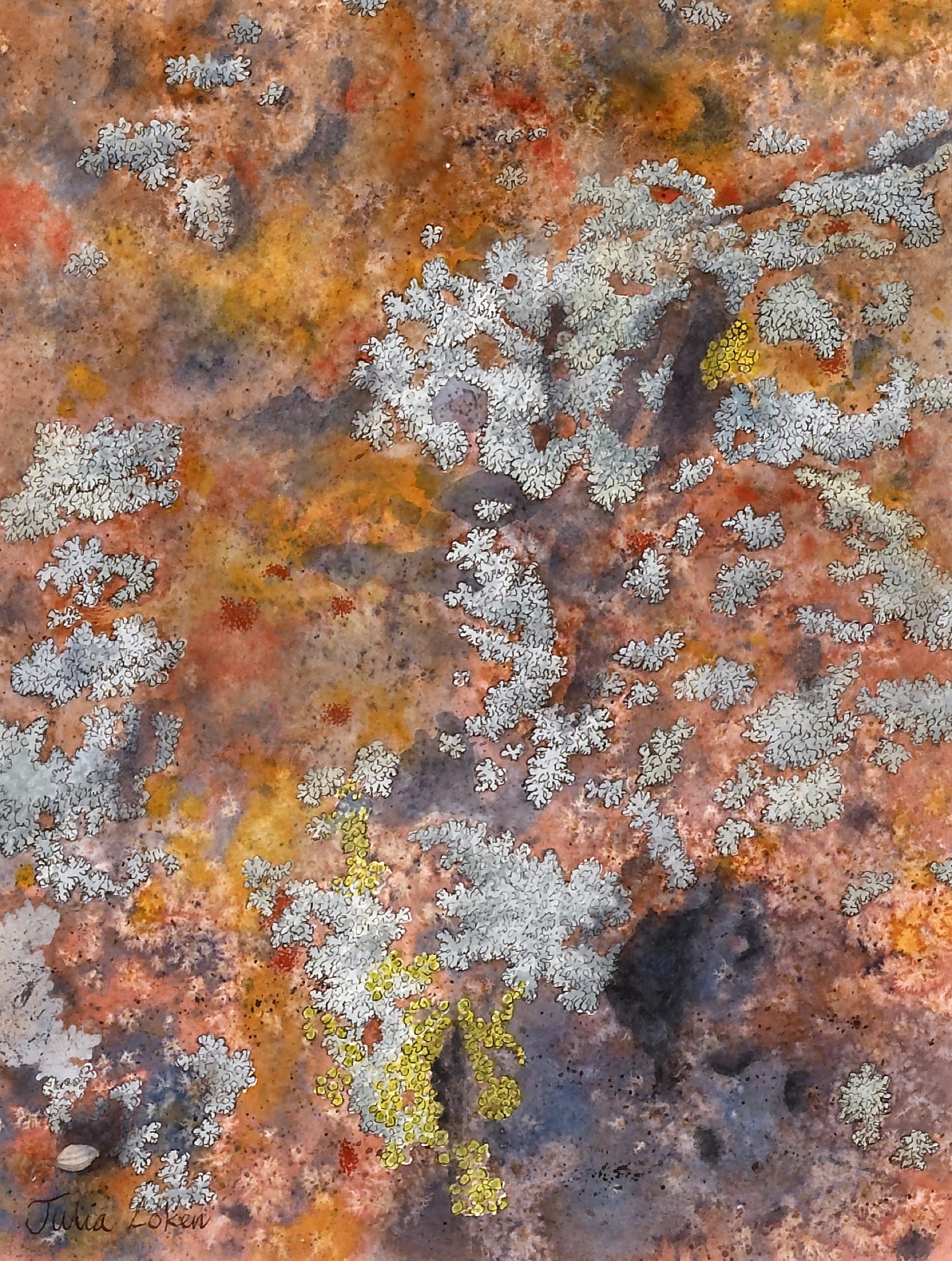 
		                					Julia Loken		                																	
																											<i>Lichen on Rock,</i>  
																																																					watercolor on paper, 
																																								11 1/4 x 9 inches 
																								
		                				