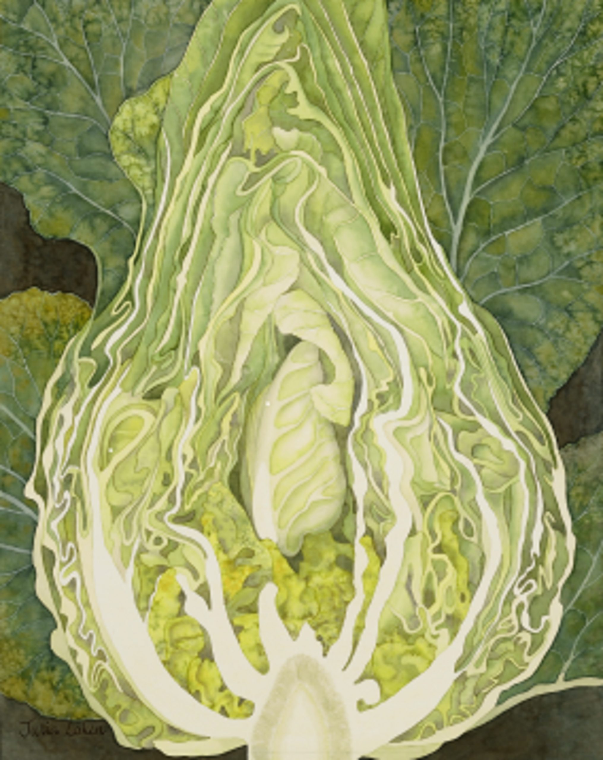 
		                					Julia Loken		                																	
																											<i>Spring Cabbage,</i>  
																																																					watercolor on paper, 
																																								15 1/2 x 12 1/2 inches 
																								
		                				