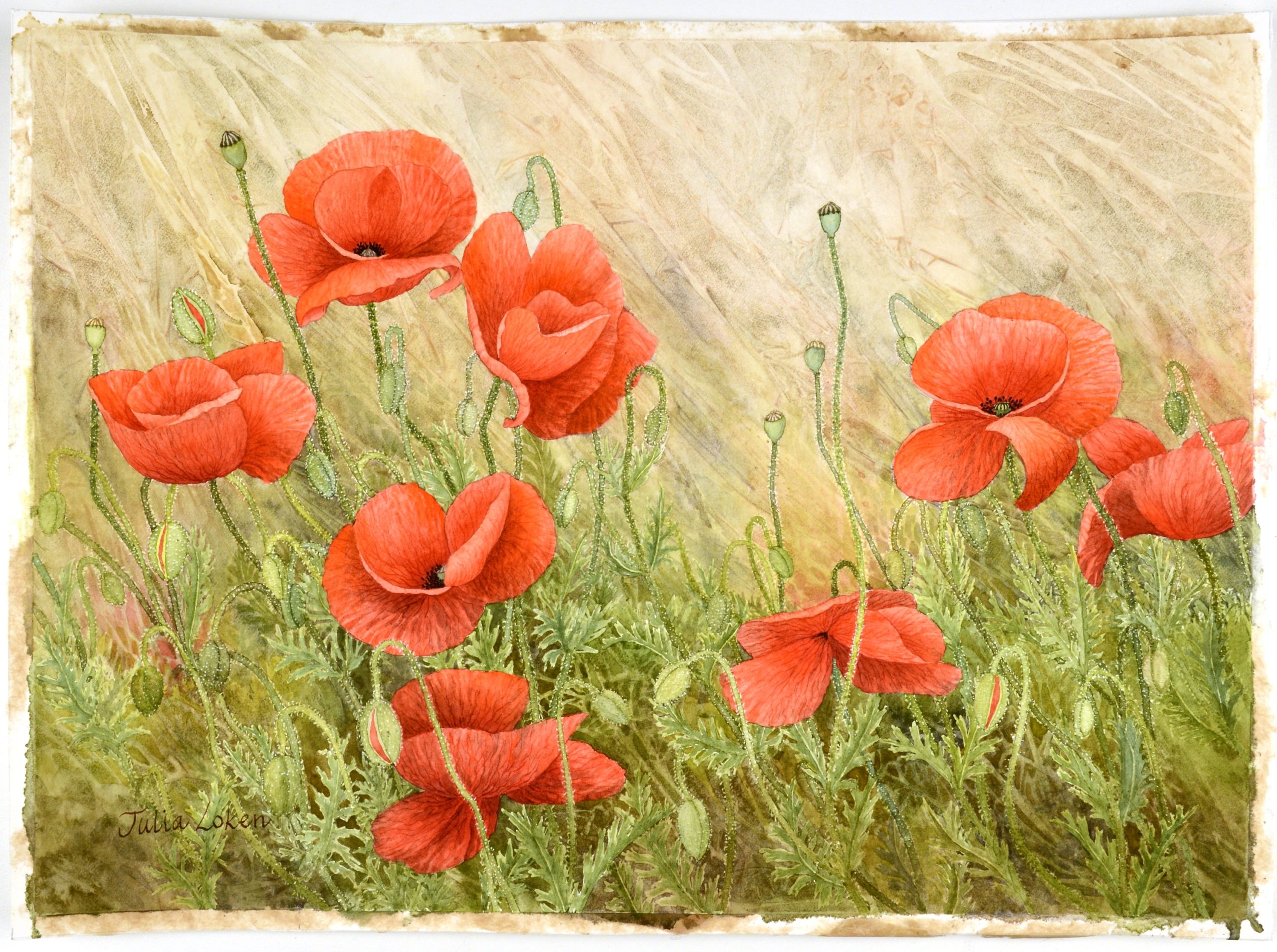 
		                					Julia Loken		                																	
																											<i>Wild Poppies,</i>  
																																																					watercolor on paper, 
																																								10 x 14 inches 
																								
		                				