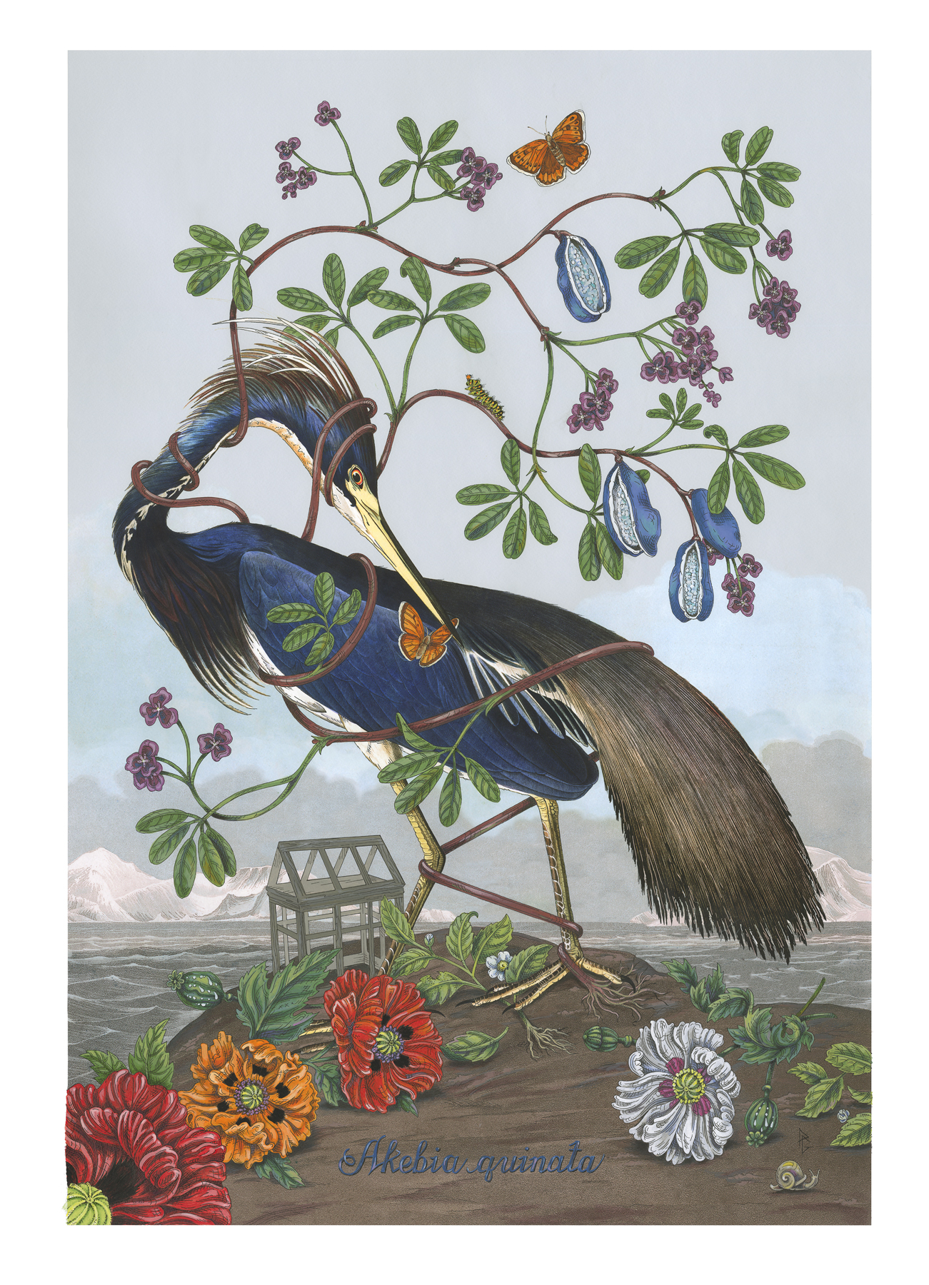 

											Penelope Gottlieb</b>

											<em>
												Still Lives  New work by Penelope Gottlieb</em> 

											<h4>
												July 29 - September 23, 2022											</h4>

		                																																													<i>Akebia quinata,</i>  
																																																					acrylic and ink over a digital reproduction of an Audubon print, 
																																								38 x 26 inches 
																								
		                				