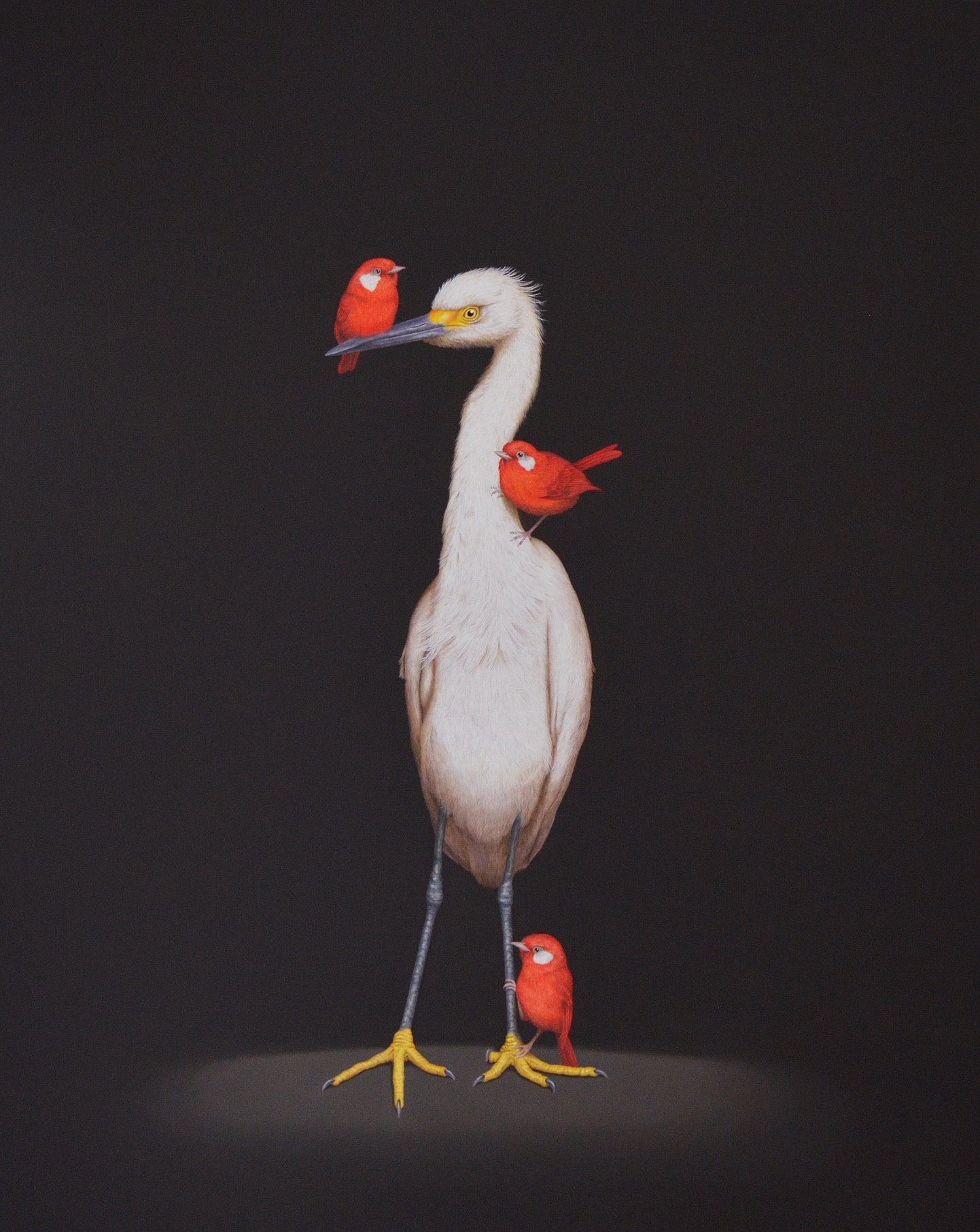 
		                					Isabelle Du Toit		                																	
																											<i>One Egret, Three Warblers,</i>  
																																								2023, 
																																								oil on canvas, 
																																								30 x 24 inches 
																								
		                				