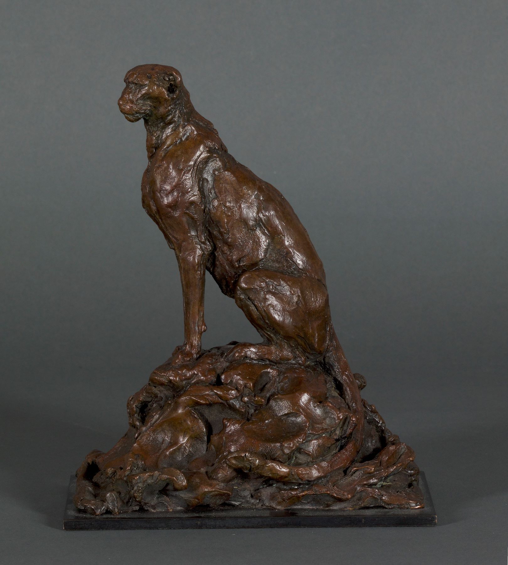 
		                					Jonathan Kenworthy		                																	
																											<i>Sitting Cheetah,</i>  
																																								2008, 
																																								bronze, 
																																								4 1/8 x 6 7/8 x 8 3/8 inches 
																								
		                				