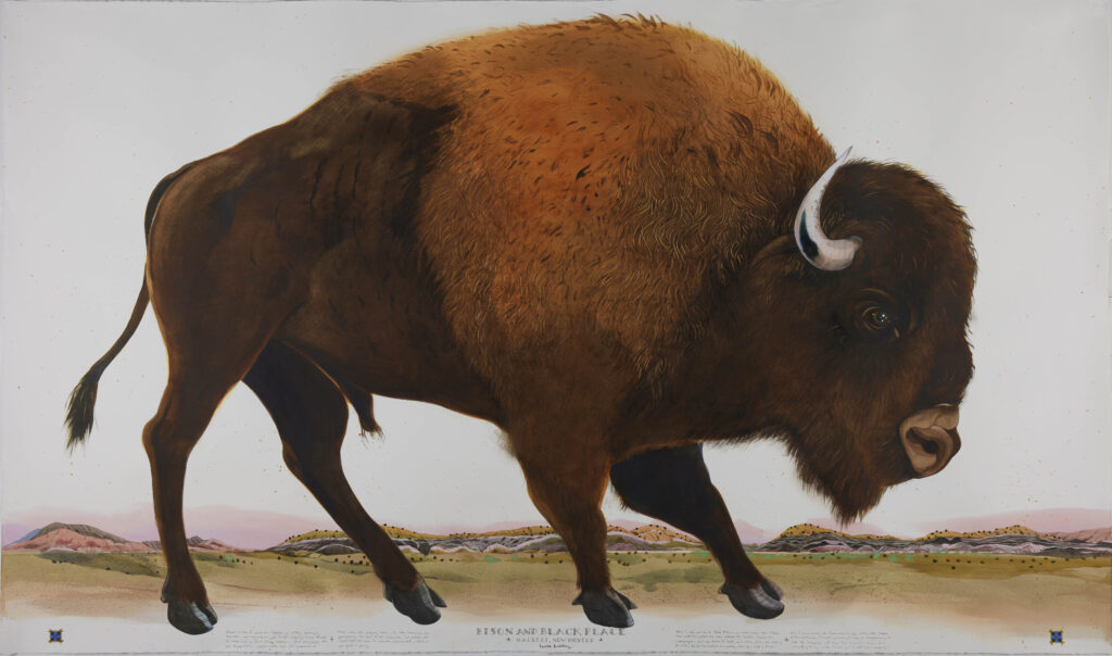 Scott Kelley, Bison and Black Place, watercolor, gouache amd graphite on paper, 55 x 88 inches