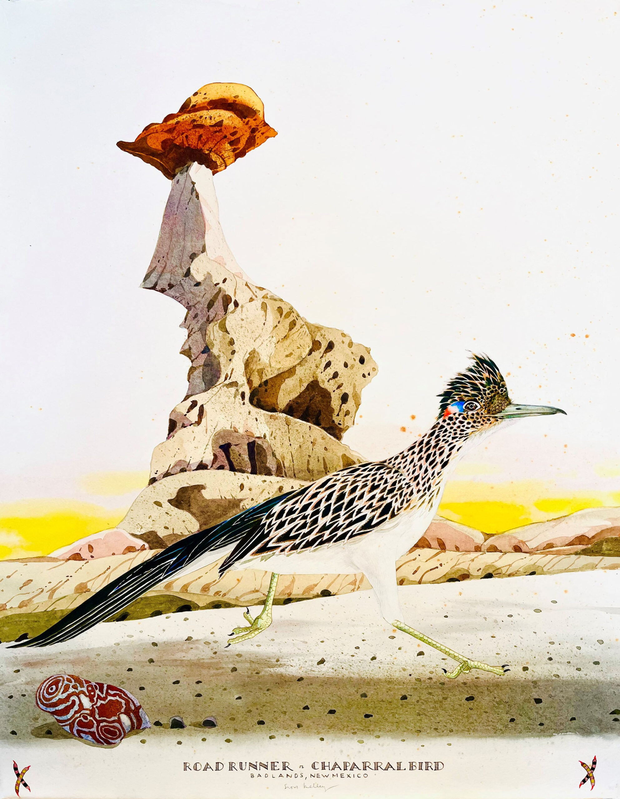 
							

									Scott Kelley									Road Runner or Chaparral Bird 									watercolor, gouache and graphite on paper<br />
40 x 30 inches									


							
