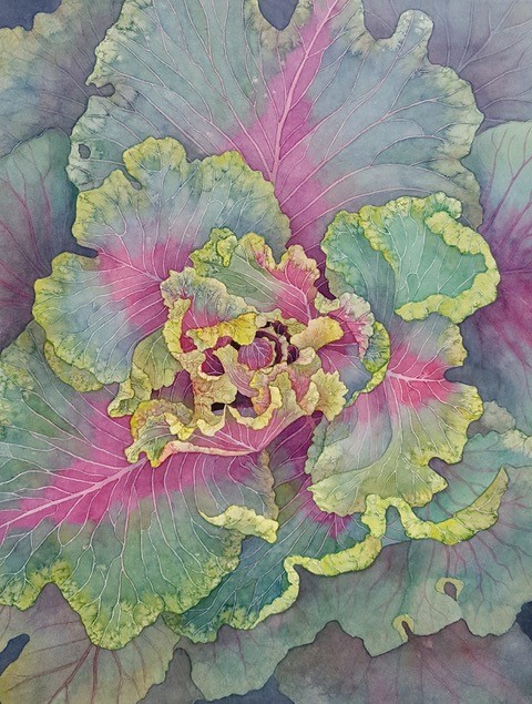 
		                					Julia Loken		                																	
																											<i>Cabbage,</i>  
																																																					watercolor on paper, 
																																								16 x 12 1/2 inches 
																								
		                				