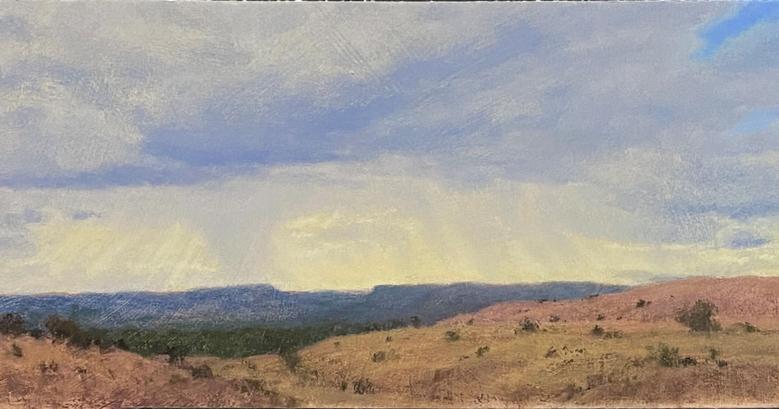 
							

									Denise LaRue Mahlke									Veiled Light 2024									pastel on pumice board<br />
6 x 12 inches									


							