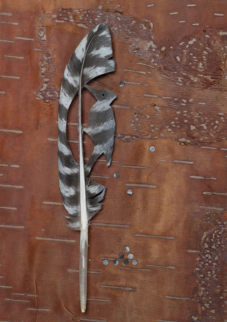 
							

									Chris Maynard									Birchbark Woodpecker study 2024									Turkey feather on peeled birch bark<br />
8 x 7 inches									


							