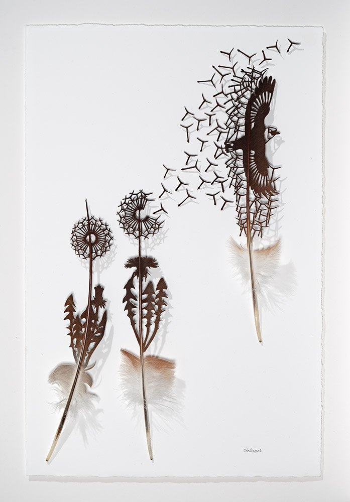 
							

									Chris Maynard									Goldfinch and Dandelions #4 2024									Crowned crane secondary wing feathers<br />
23 x 14 1/2 inches									


							
