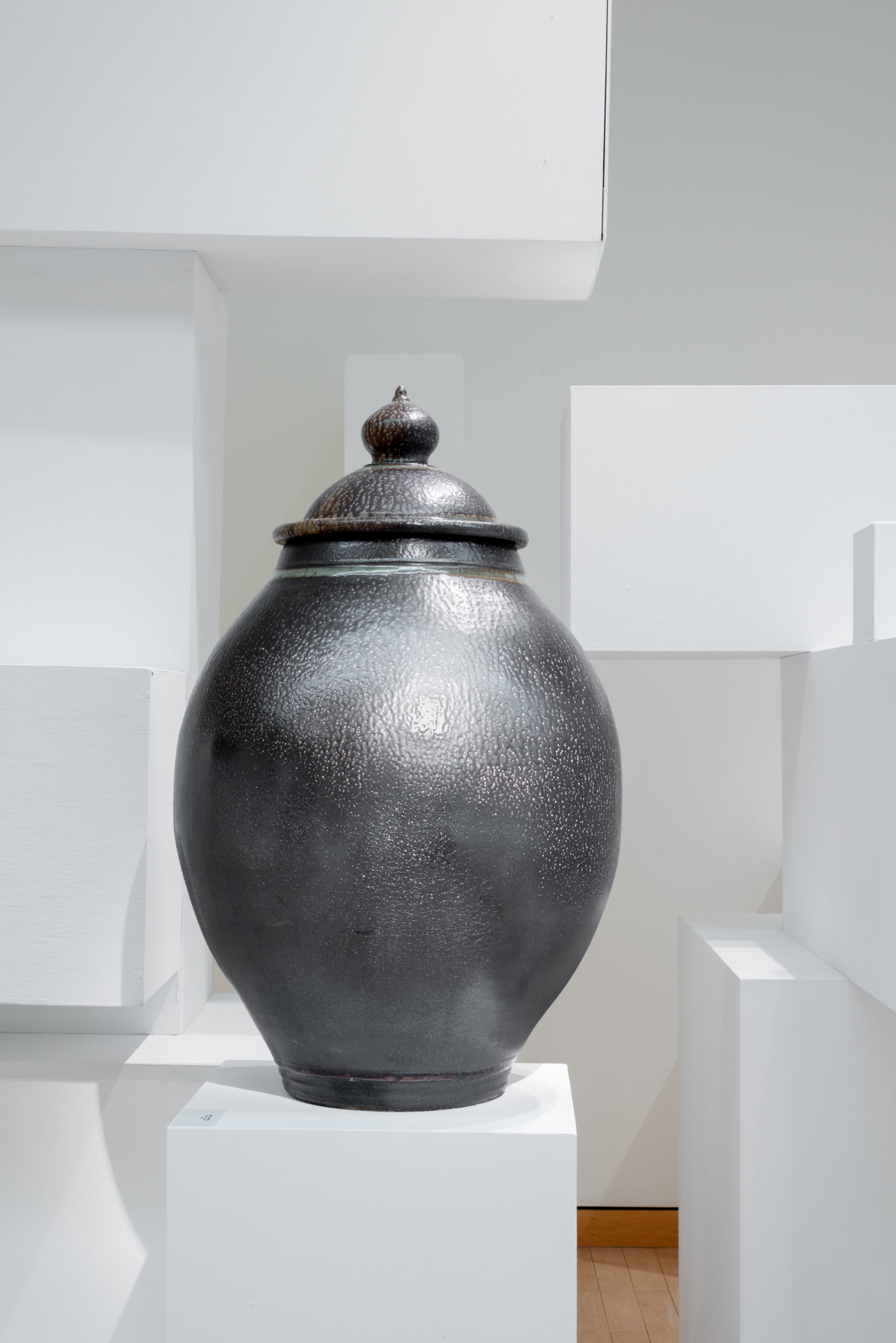 
		                					Daniel Johnston		                																	
																											<i>Untitled Jar 8,</i>  
																																								2022, 
																																								local wood-fired stoneware with a salt glaze, 
																																								38 x 18 inches (diameter) 
																								
		                				