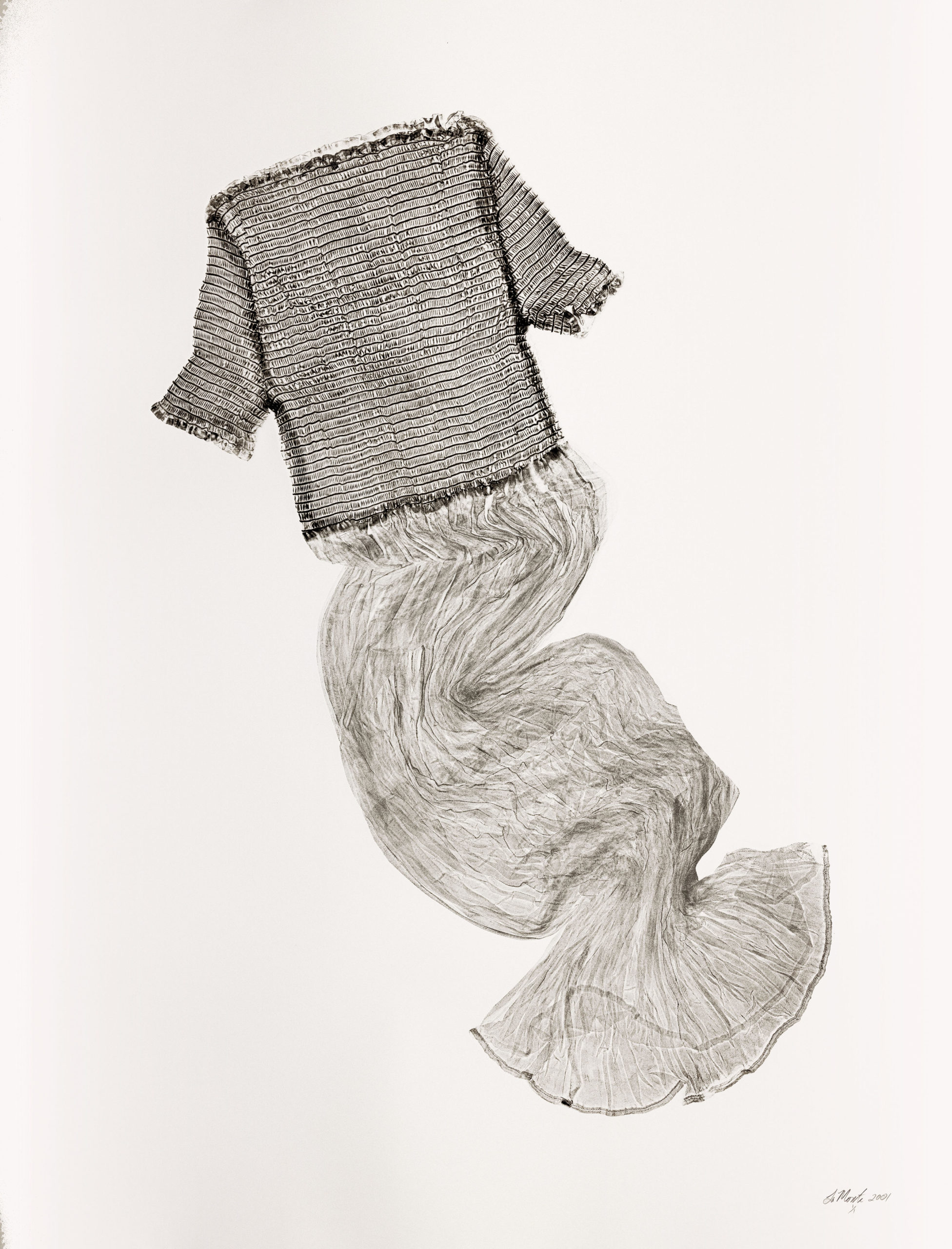 

											Karen LaMonte</b>

											<em>
												Sartoriptypes</em> 

											<h4>
																							</h4>

		                																																													<i>Impression 7,</i>  
																																								2001, 
																																								Sartoriotype. Monotype print on art paper, 
																																								49 × 37 ⅔ inches  
																								
		                				