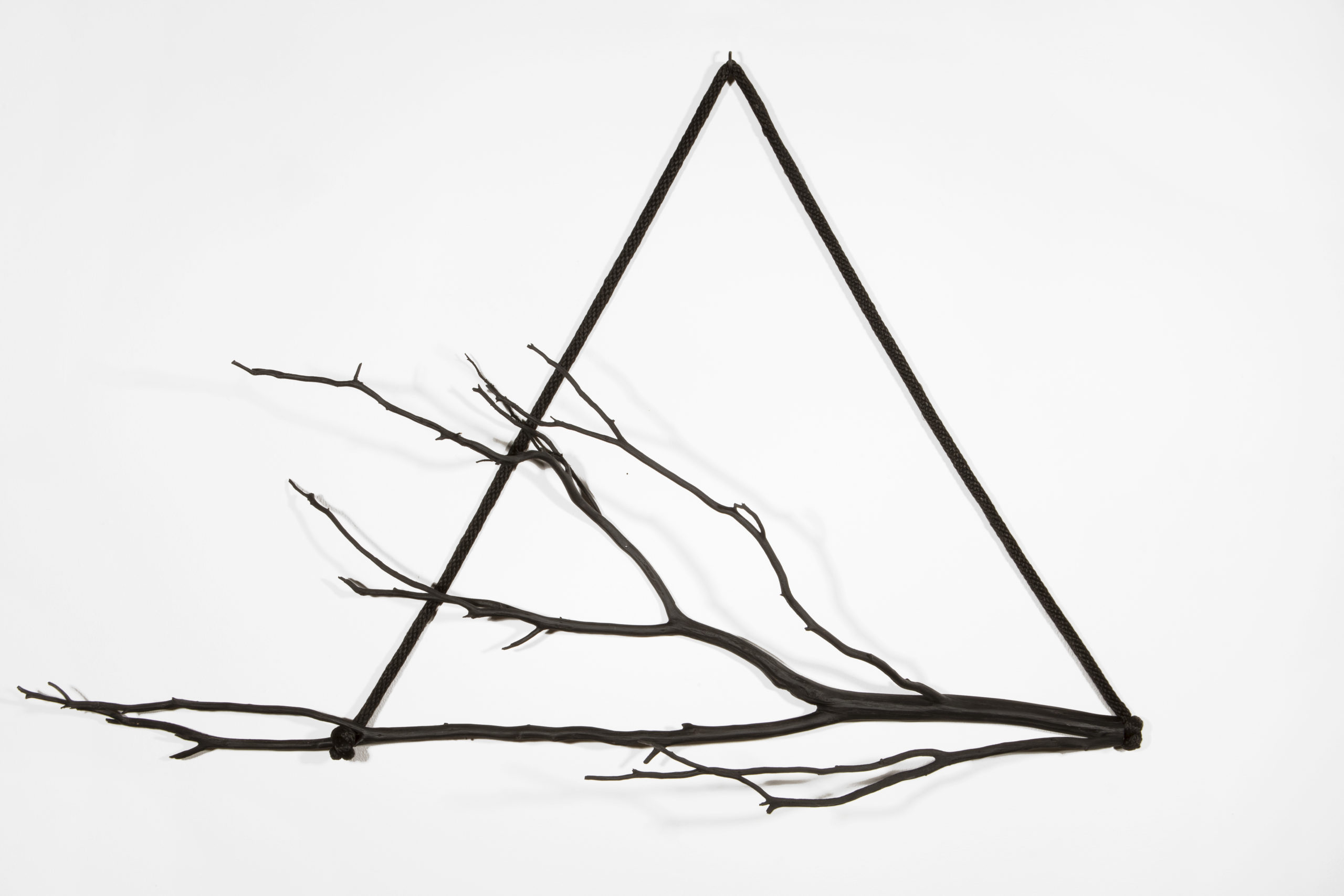 
		                					Eric Garduño		                																	
																											<i>Gravity's Delta,</i>  
																																																					enamel on wood with rope, 
																																								35 x 59 x 9 inches 
																								
		                				