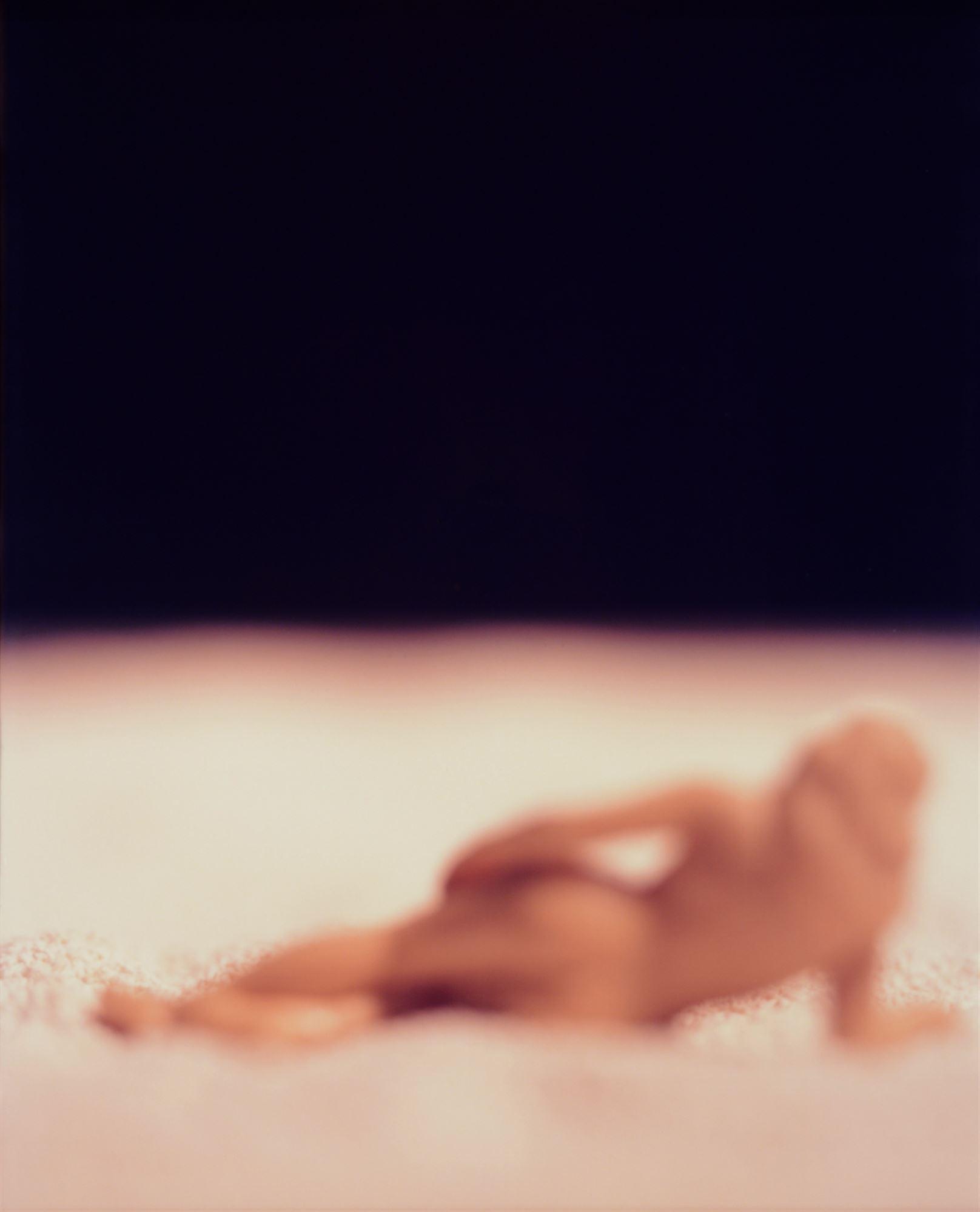 
							

									David Levinthal									American Beauties #5, 2/3 1990									polaroid print<br />
33 5/8 x 28 5/8 x 1 1/2 inches									


							