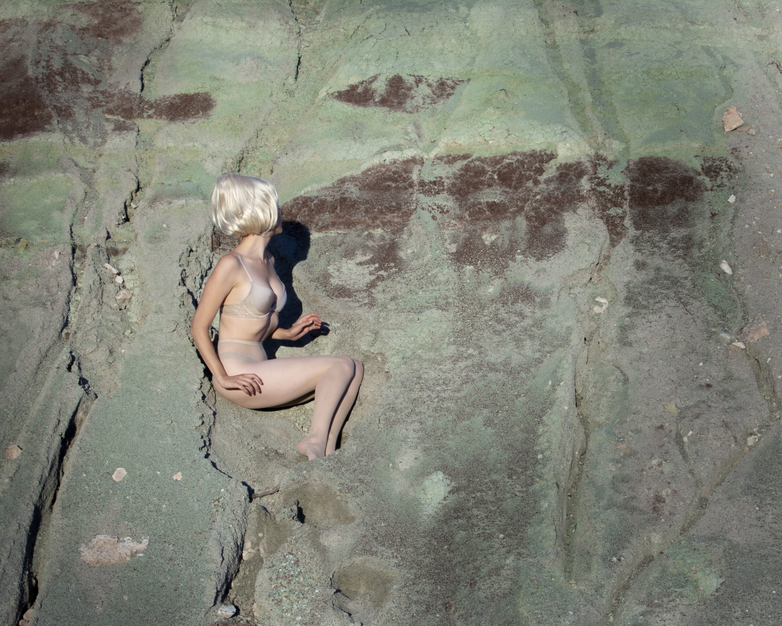 
							

									Nicole Cudzilo									Green Dirt, ed. 2/12 2018									archival pigment print<br />
19 1/2 x 24 1/2 inches									


							