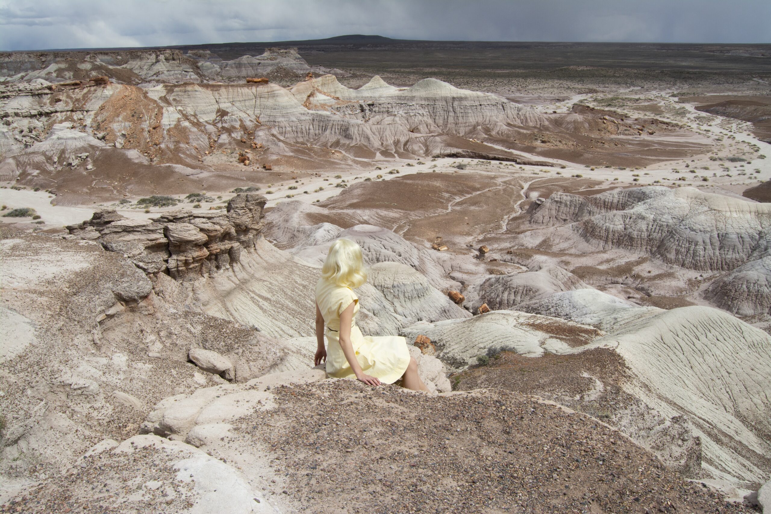 
							

									Nicole Cudzilo									Petrified Forest, ed. 1/12 2019									archival pigment print<br />
19 1/2 x 29 1/2 inches									


							