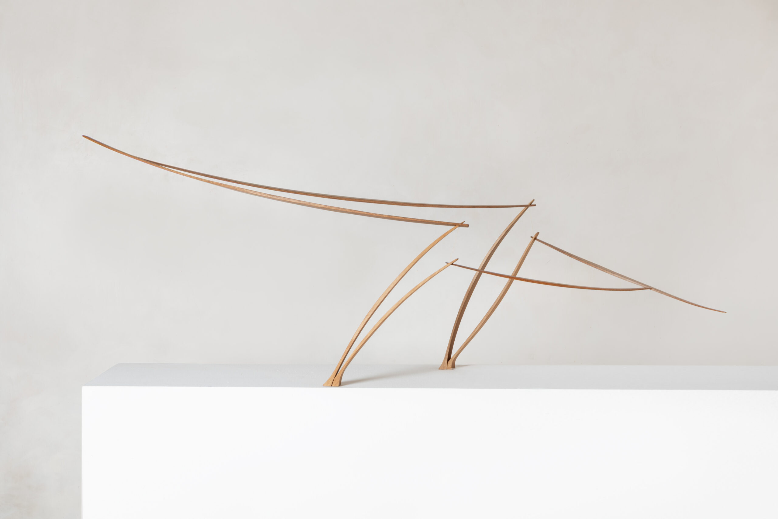 

											Will Clift</b>

											<em>
												Still Points, Turning World </em> 

											<h4>
												September 19 - December 12, 2025 											</h4>

		                																																													<i>One Another,</i>  
																																								2025, 
																																								Cherry Wood, 
																																								19 x 58 x 12 
																								
		                				