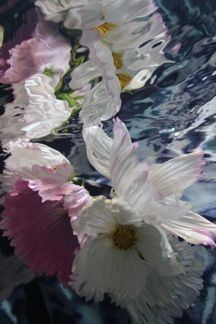 

											Andrea Bonfils </b>

											<em>
												The Art of Connection </em> 

											<h4>
												August 14 - October 10, 2026											</h4>

		                																																Andrea Bonfils ,  
																																								<i>Submerged Garden 2,</i>  
																																								2026, 
																																								silk blend print , 
																																								30’ x 40” 
																								
		                				